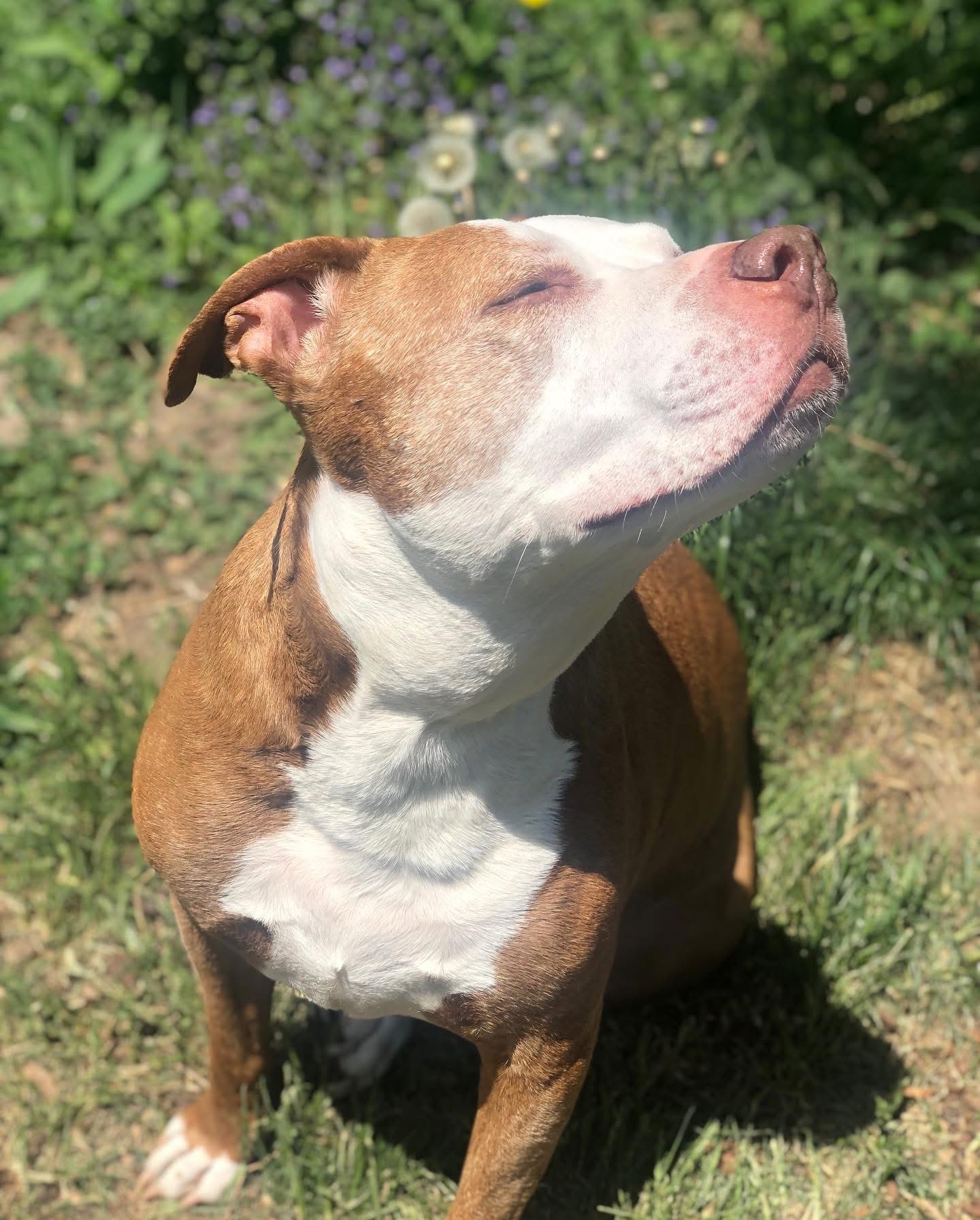 Support Canela's Journey to Better Health campaign photo, 5 of 6