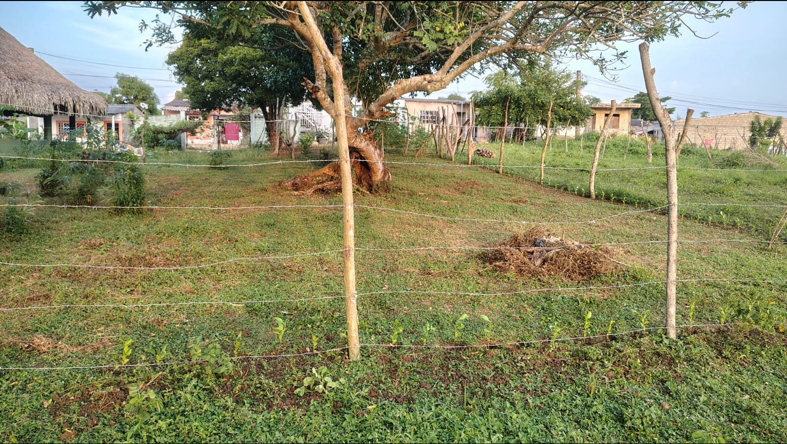 Proyecto para mi construir nuestra casita photo