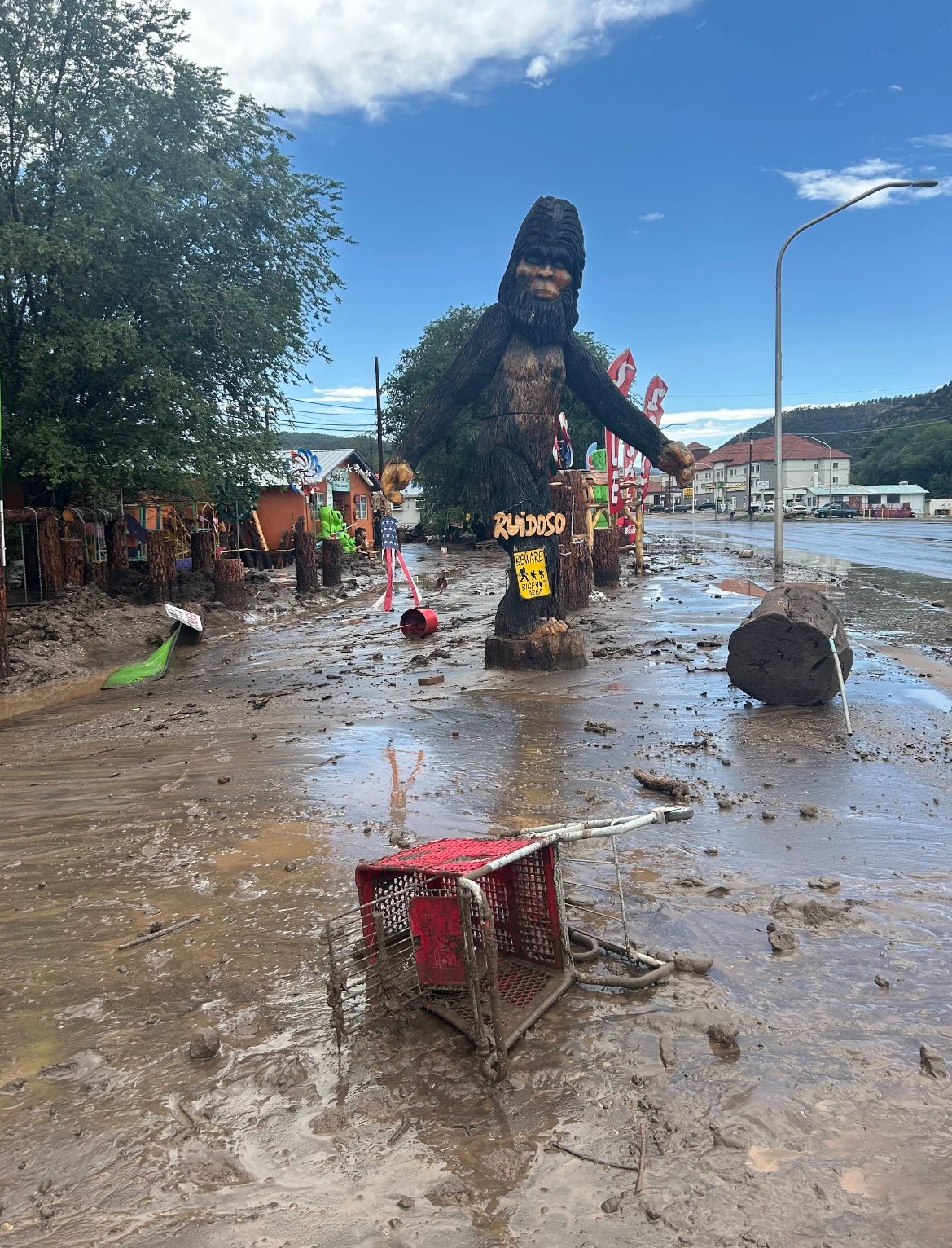 Help Aggie Overcome Flood Challenges! campaign photo, 2 of 8