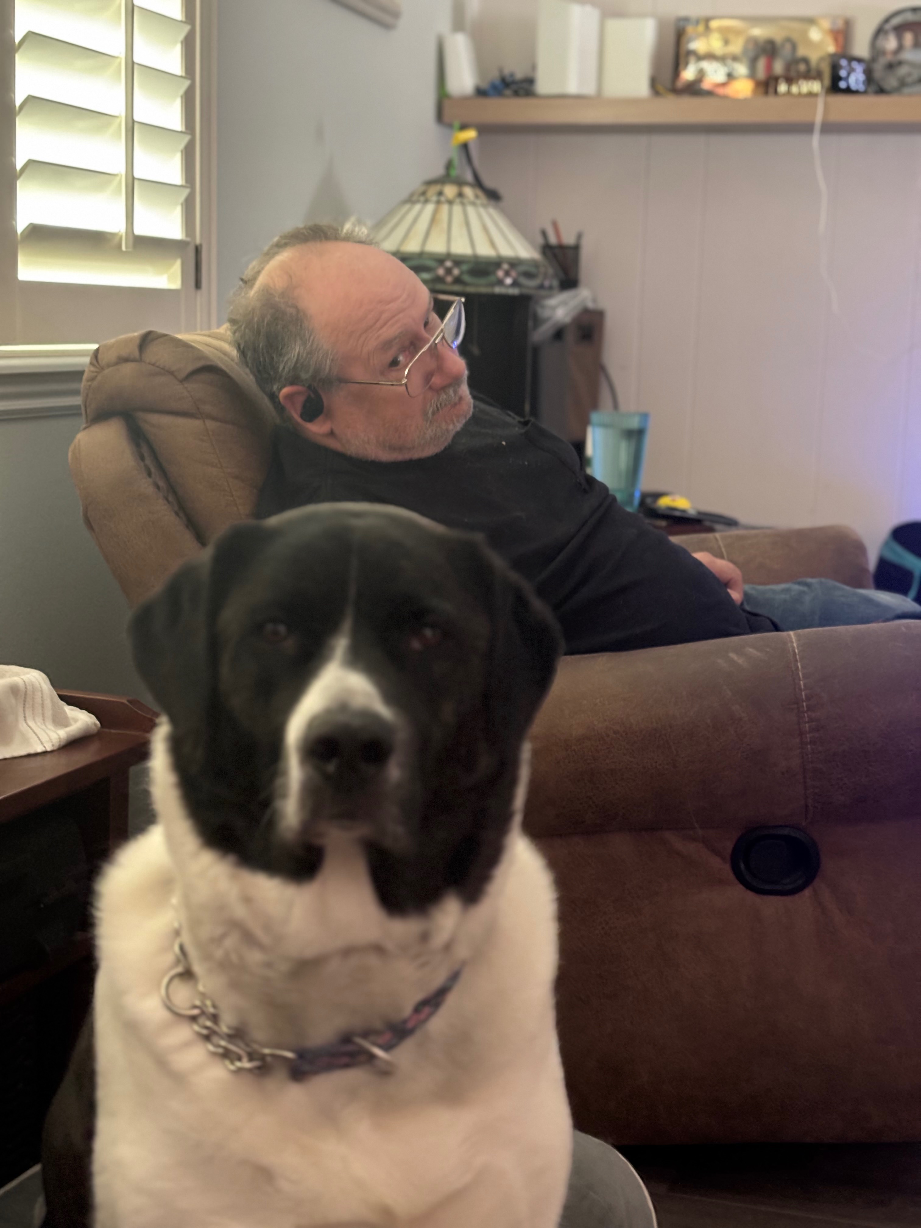 Help Ruby Get Her ACL Surgery campaign photo, 2 of 4
