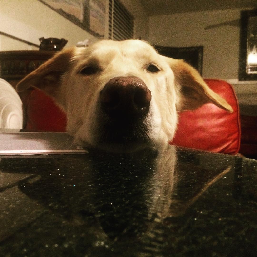 Help silly goober recover from money problem campaign photo, 2 of 4