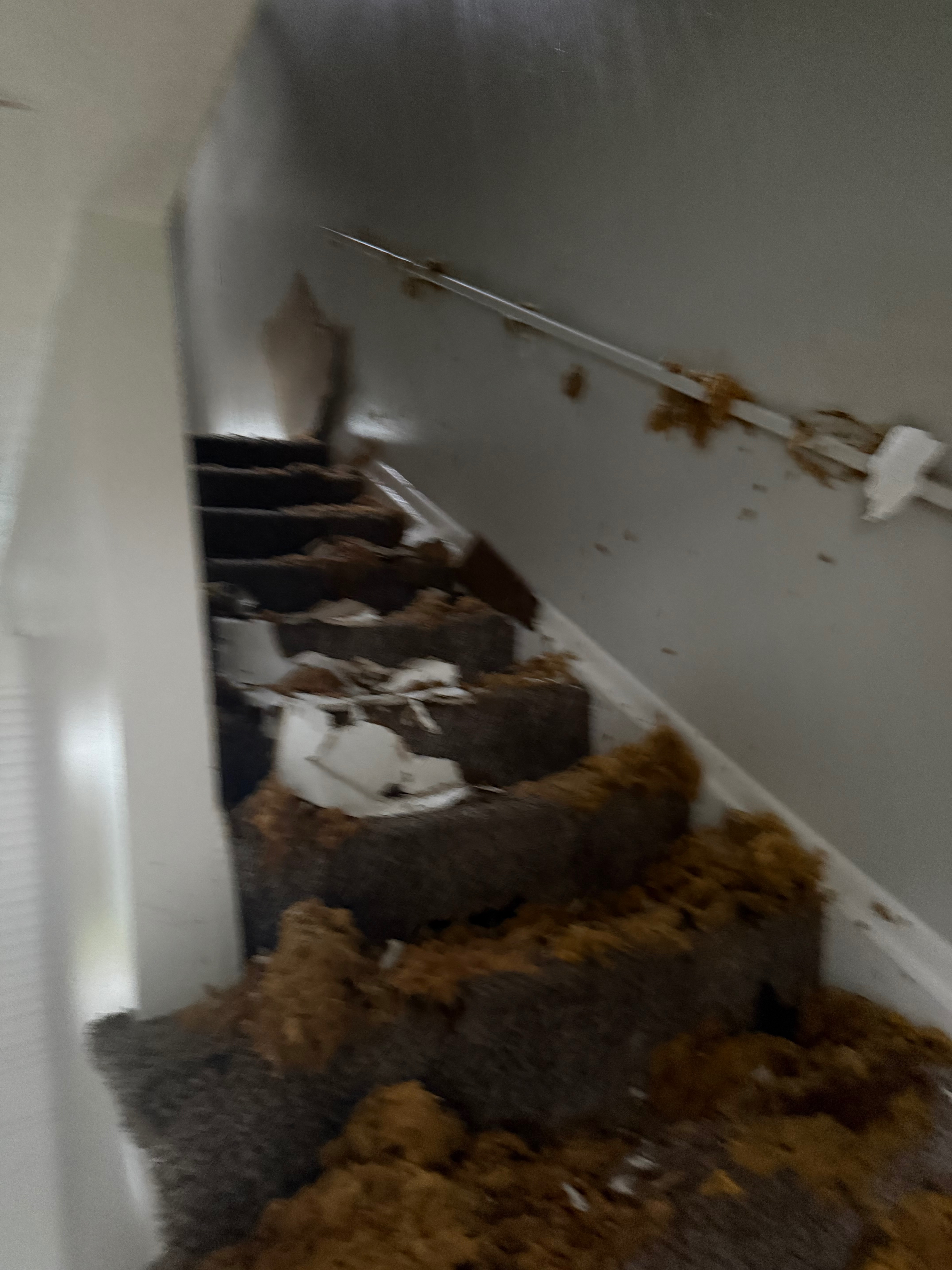 Need help taking care of things until insurance pays out campaign photo, 2 of 5