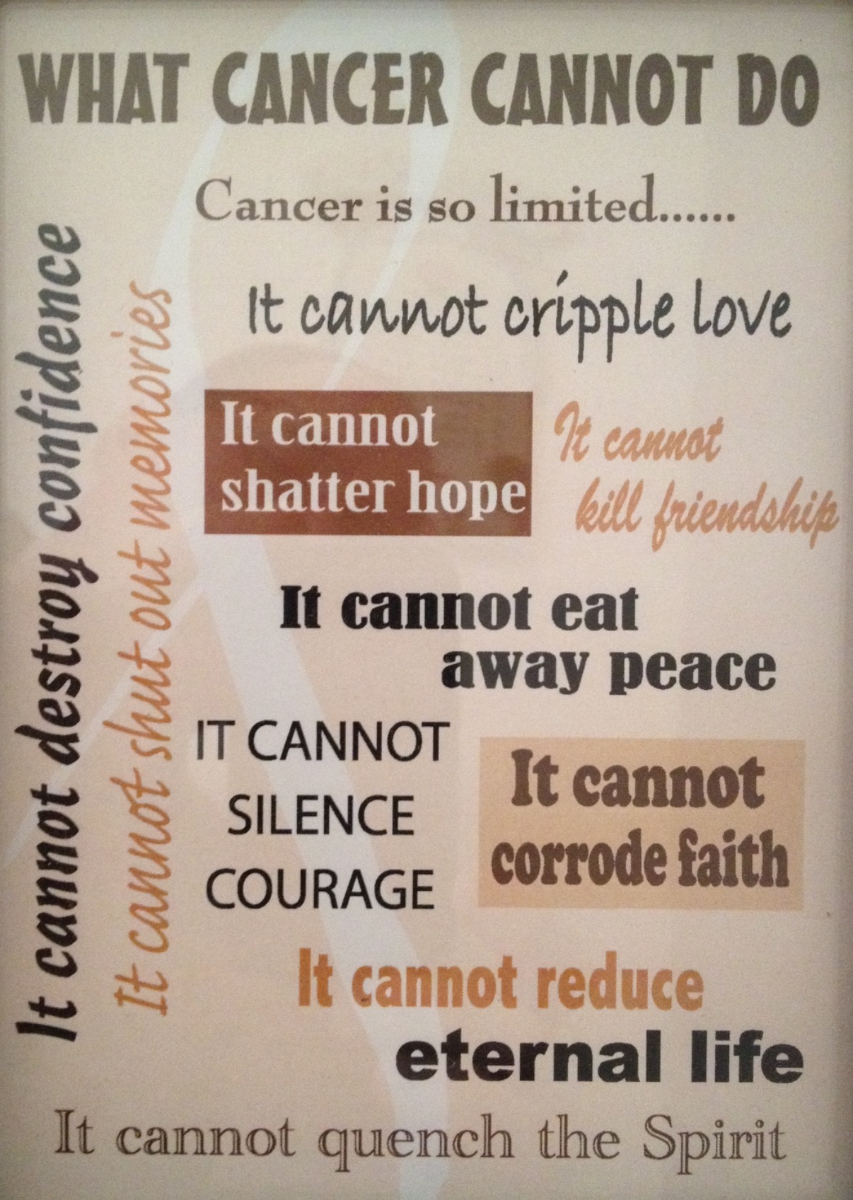 Help Emily Battle Ovarian Cancer Again campaign photo, 5 of 8