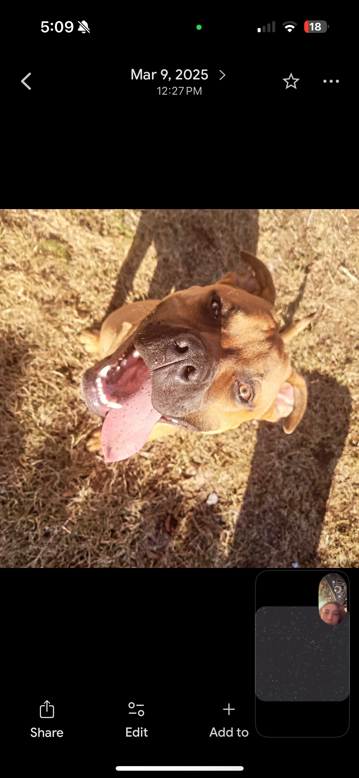 Help Give my puppy a chance campaign photo, 2 of 7