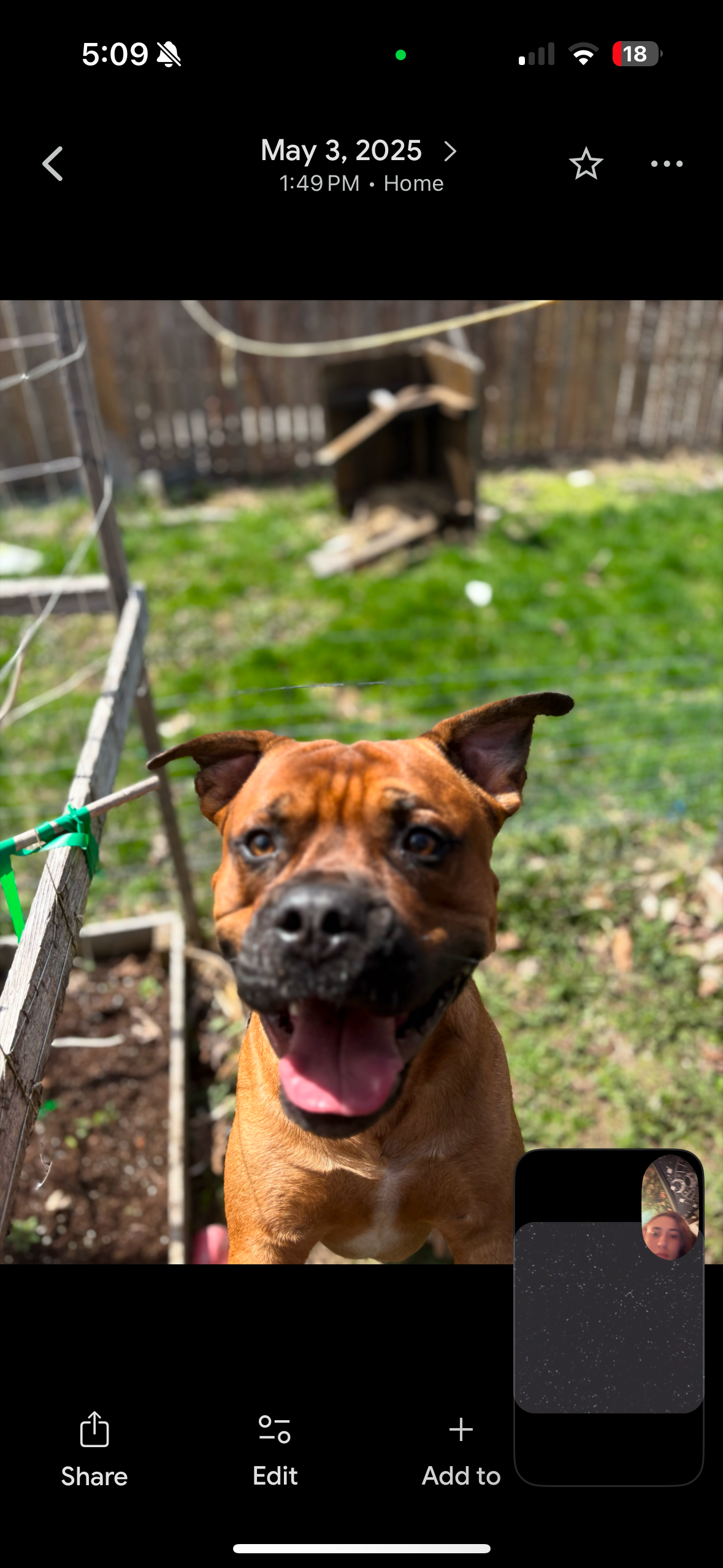 Help Give my puppy a chance campaign photo, 4 of 7