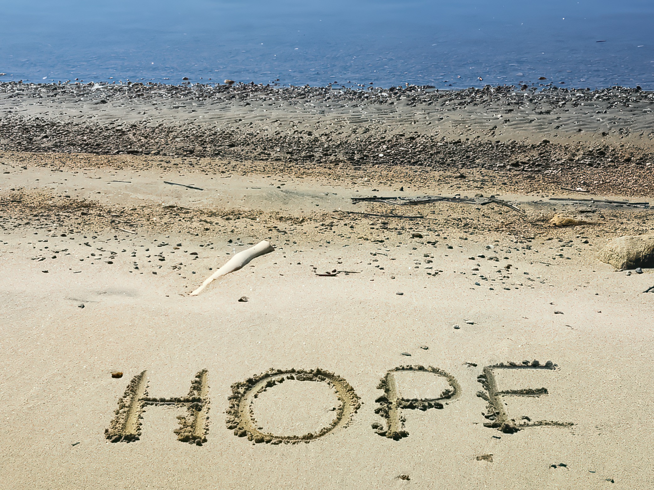 Support James Fields Emergency Travel & Hospice Fund campaign photo, 4 of 7