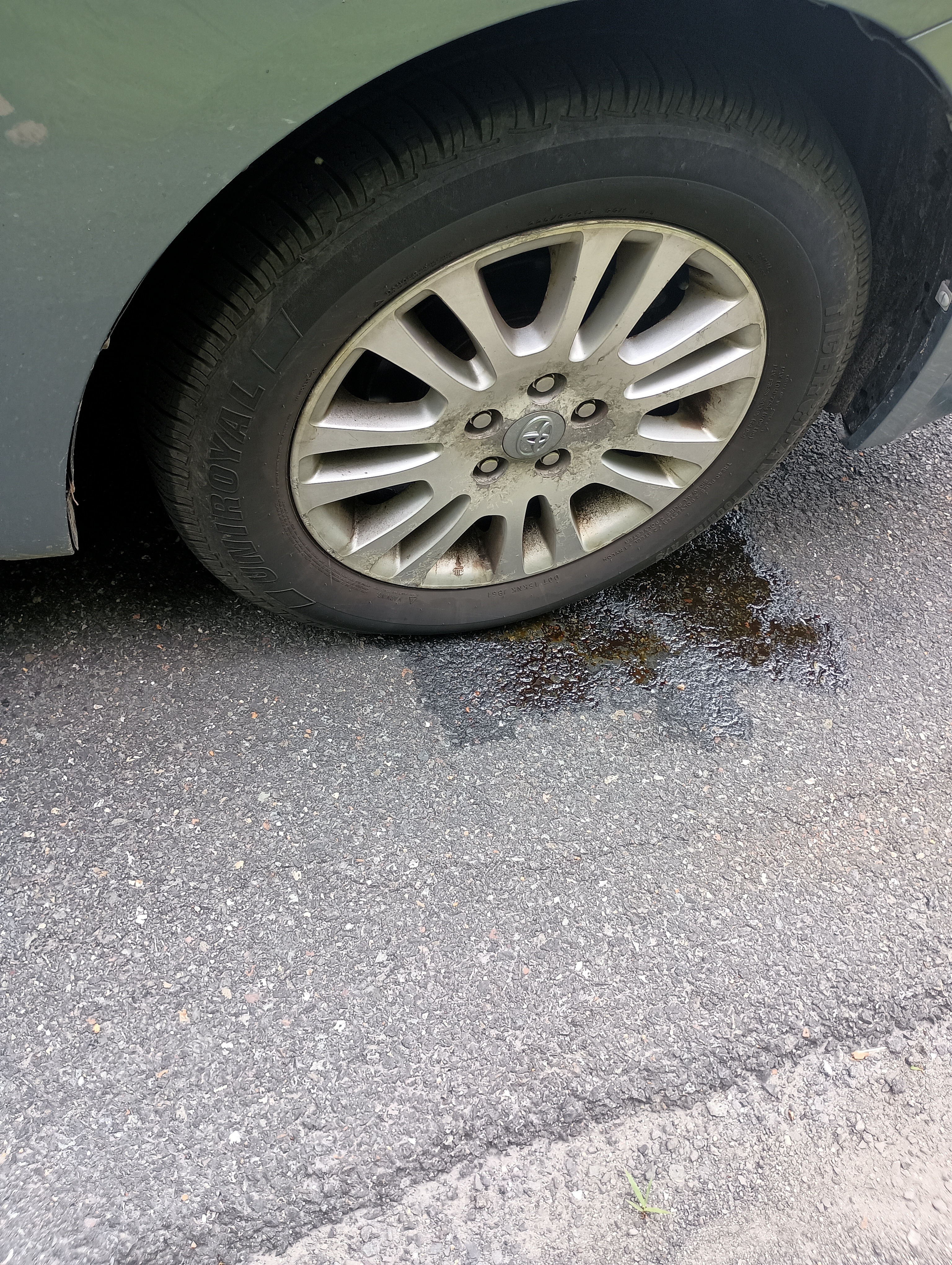 Help with engine troubles for unlucky queer young adult campaign photo, 2 of 7