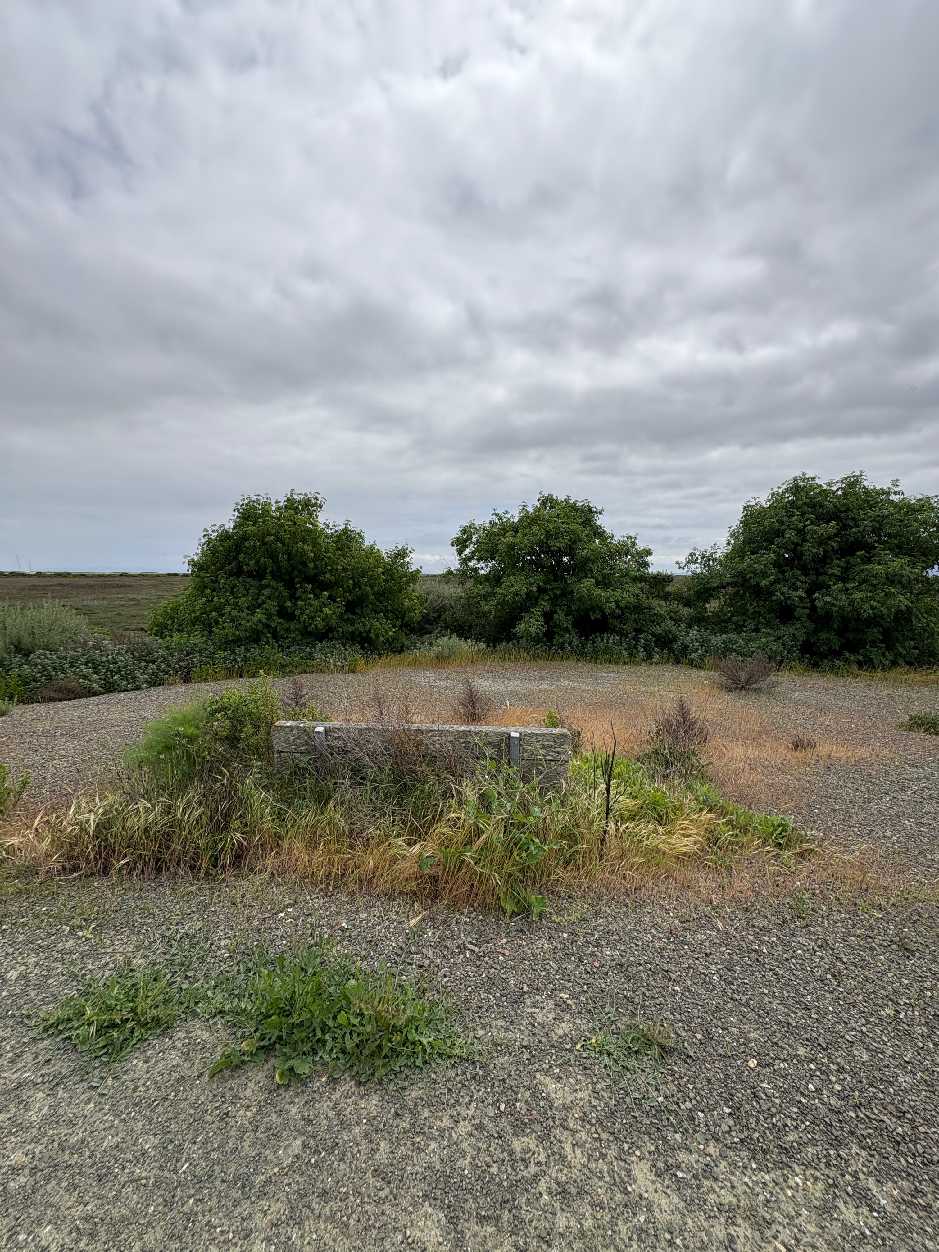 User-uploaded image 1