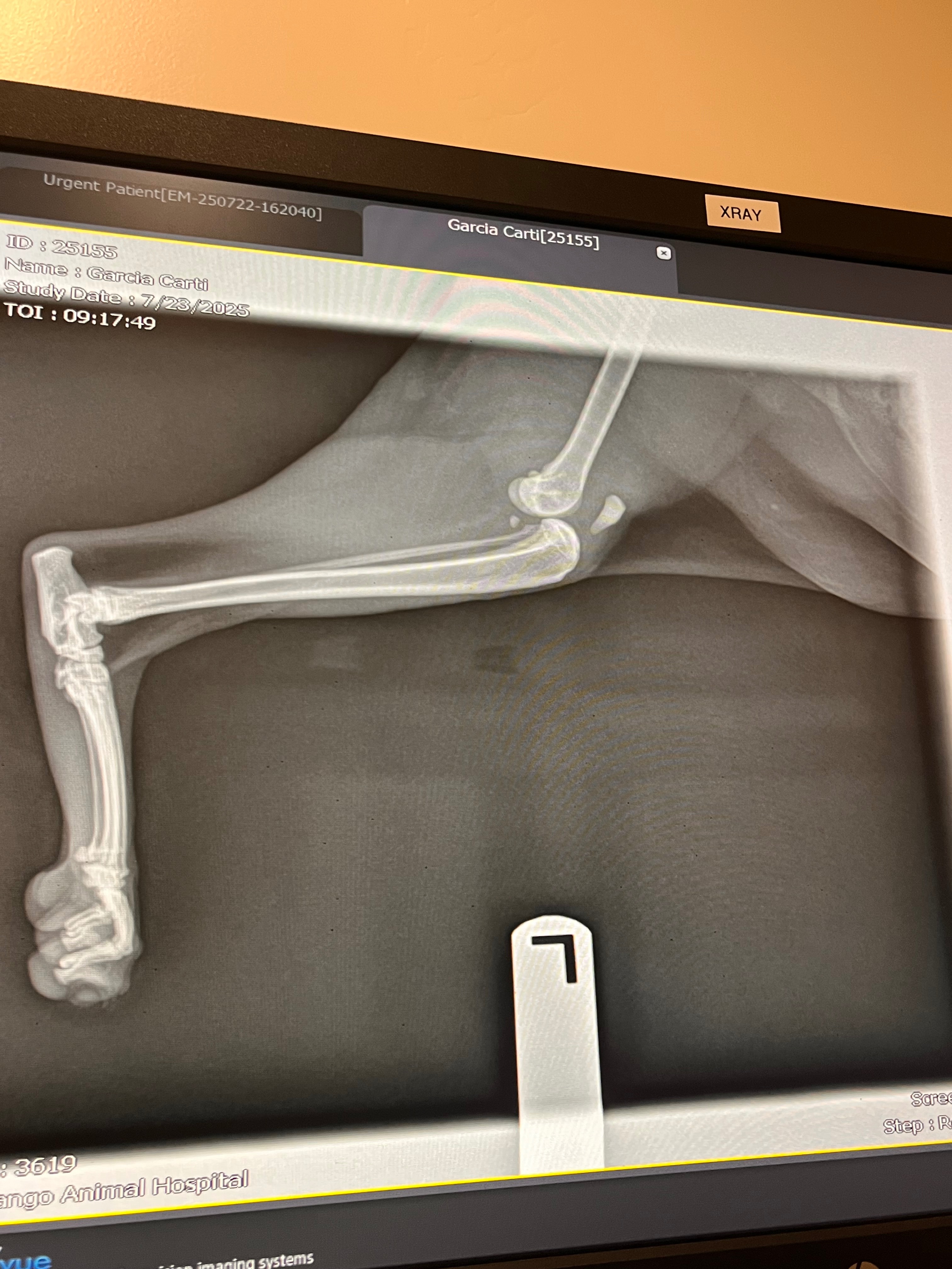 Carti's Surgery: Keep Her on All Fours campaign photo, 6 of 8