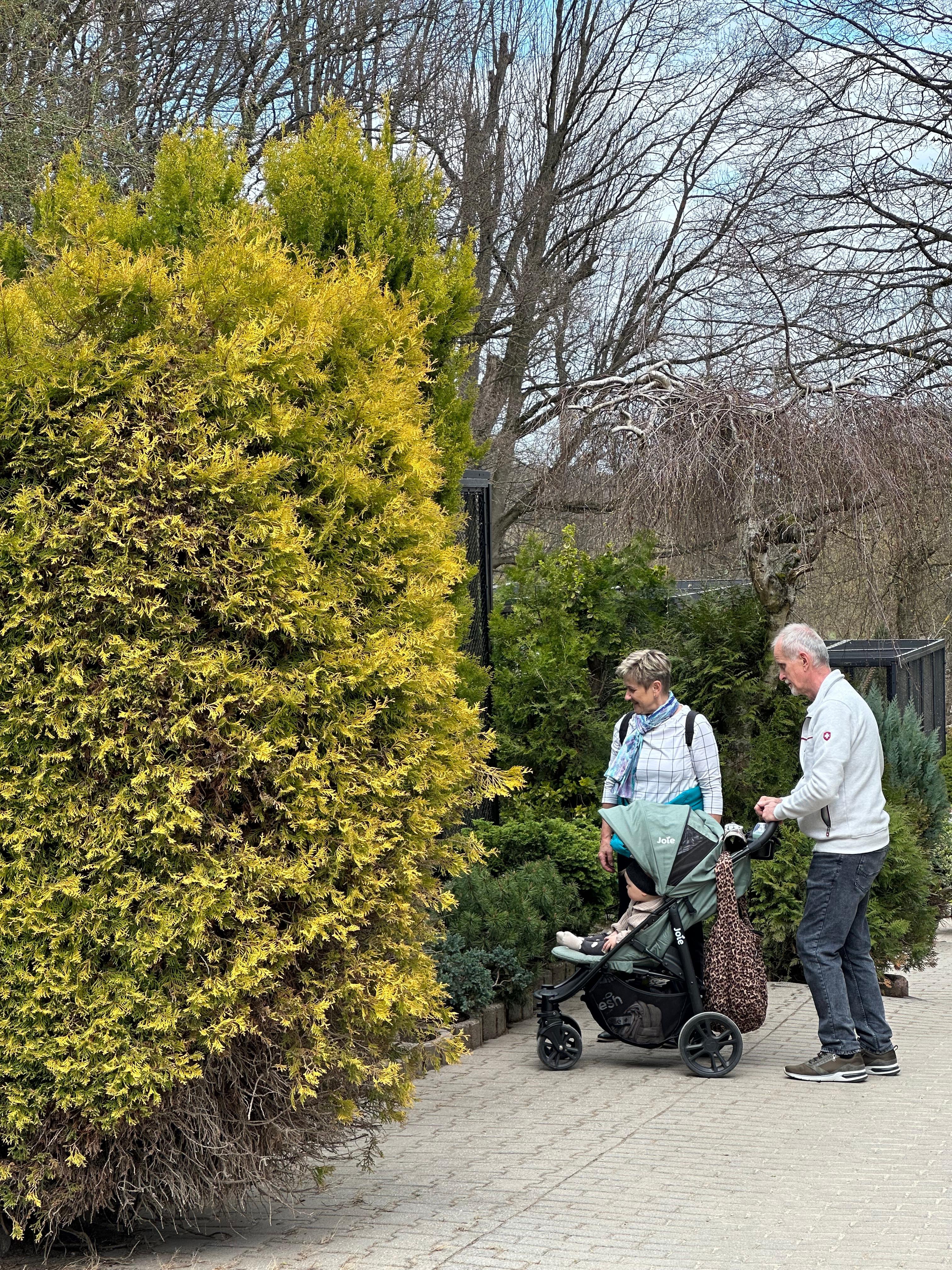 Ein Zuhause für drei Generationen – und ein Versprechen campaign photo, 5 of 8
