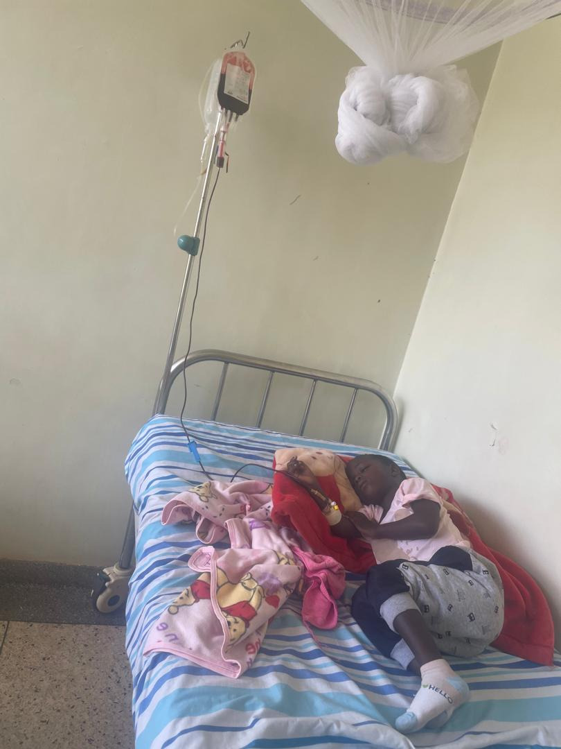 Urgent Help for Brendah's Daughter's Transplant campaign photo, 4 of 8