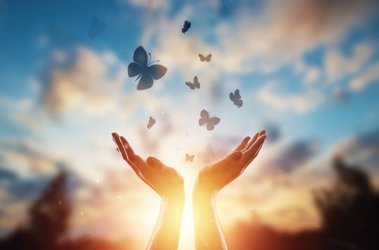 User-uploaded image 1