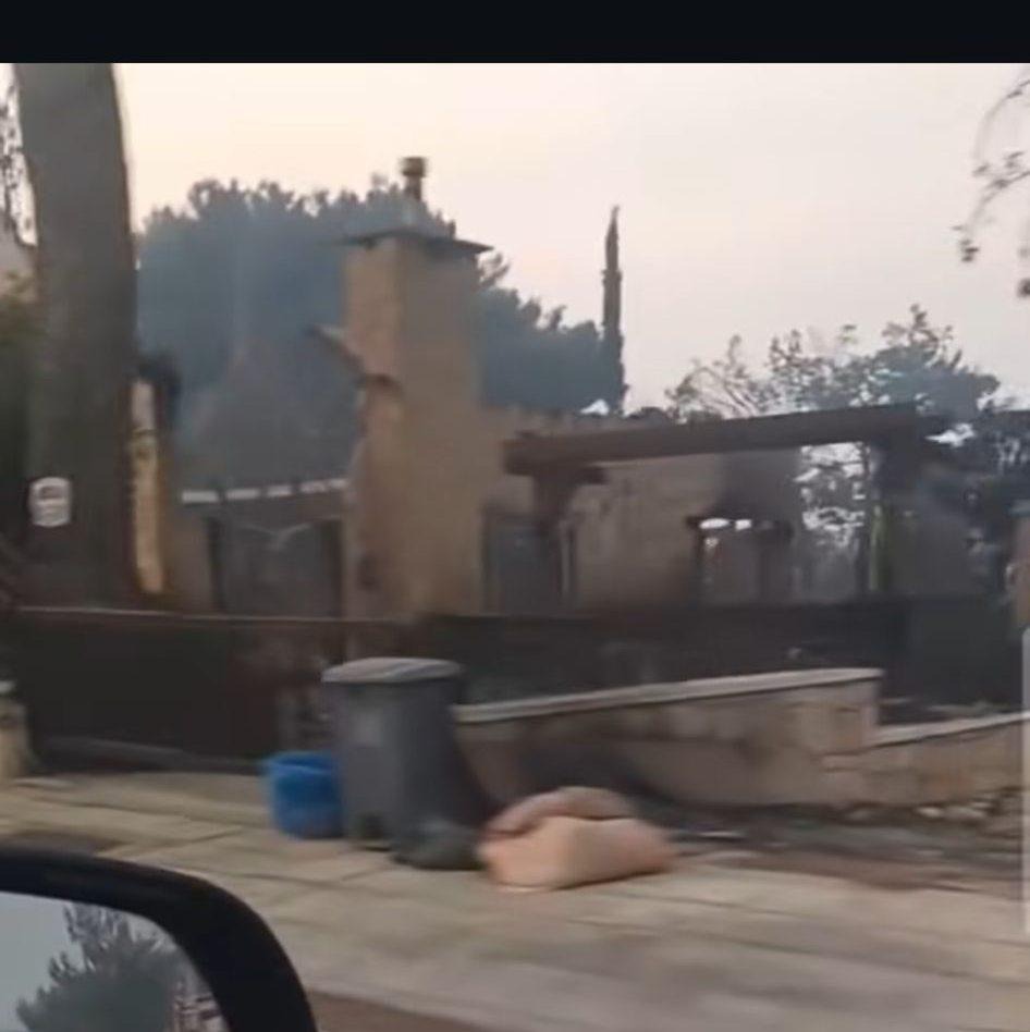 Polina's family lost their house in Cyprus fires campaign photo, 7 of 8