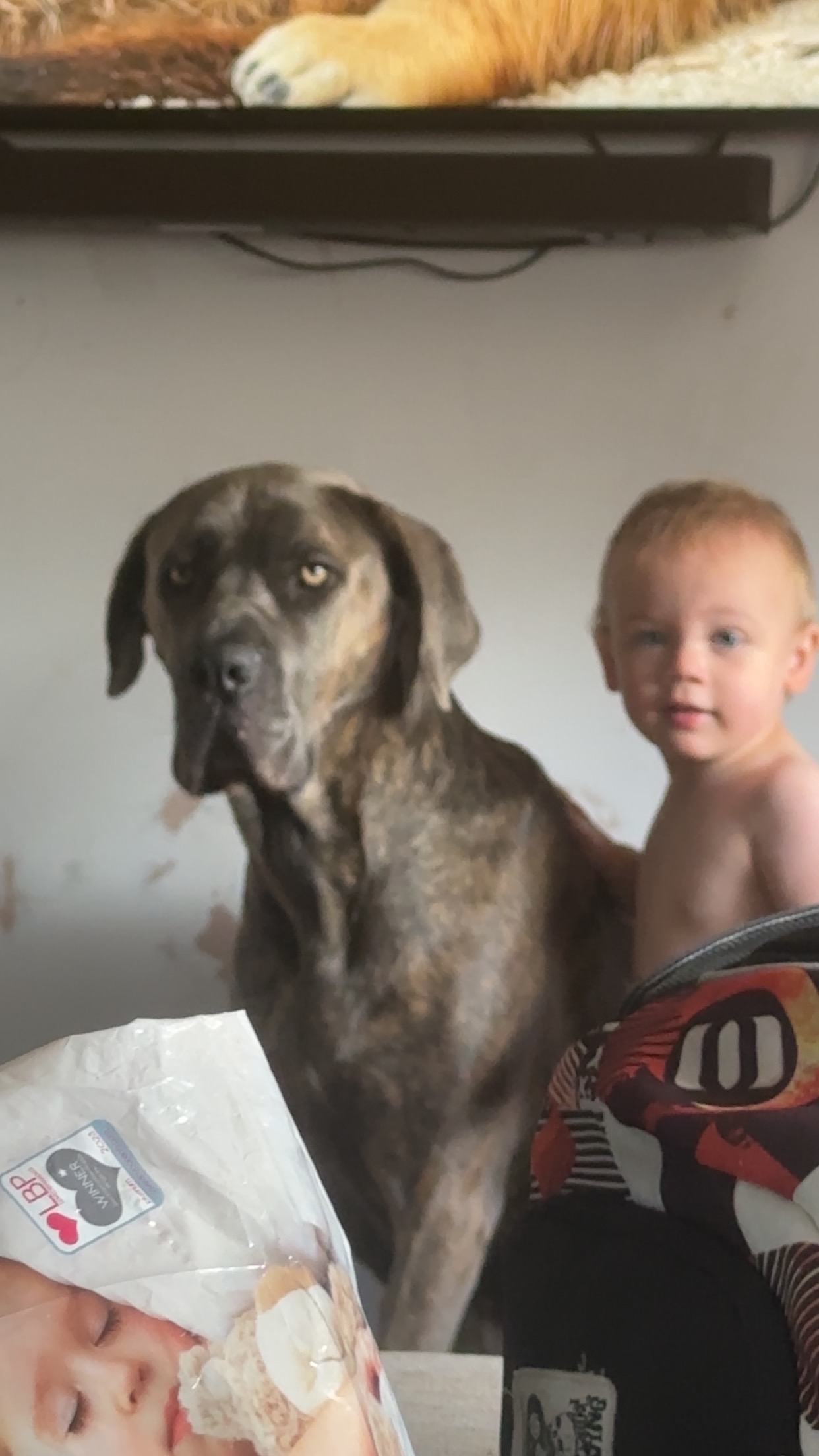 Help give Kia life saving surgery campaign photo, 2 of 8
