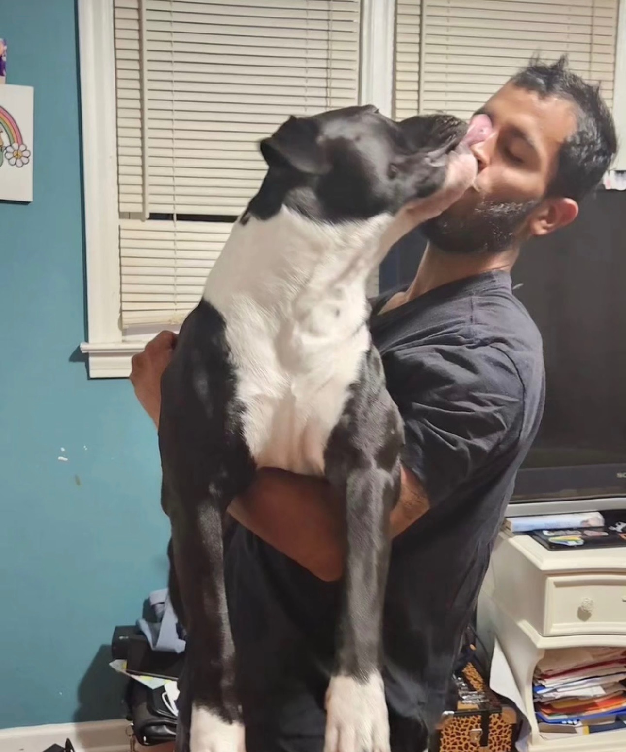 Support After Hit-and-Run and Loss of His Beloved Dog campaign photo, 5 of 8