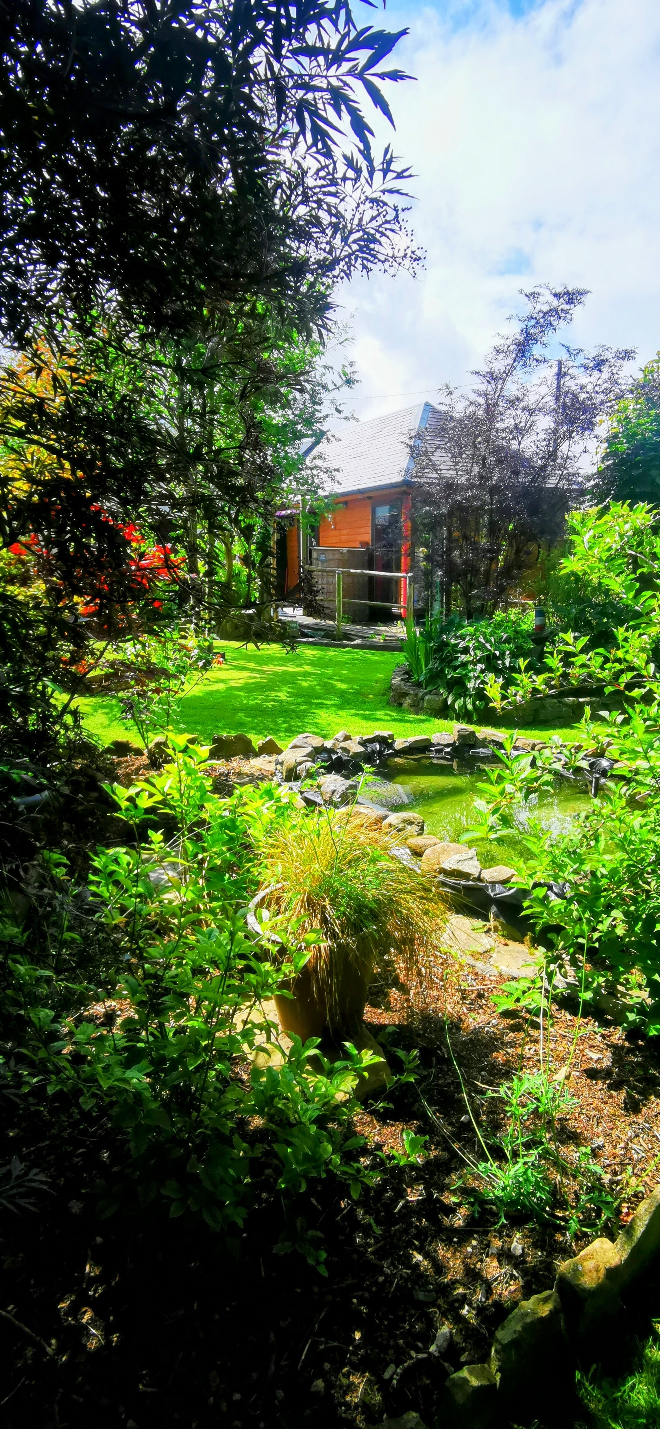 User-uploaded image 1