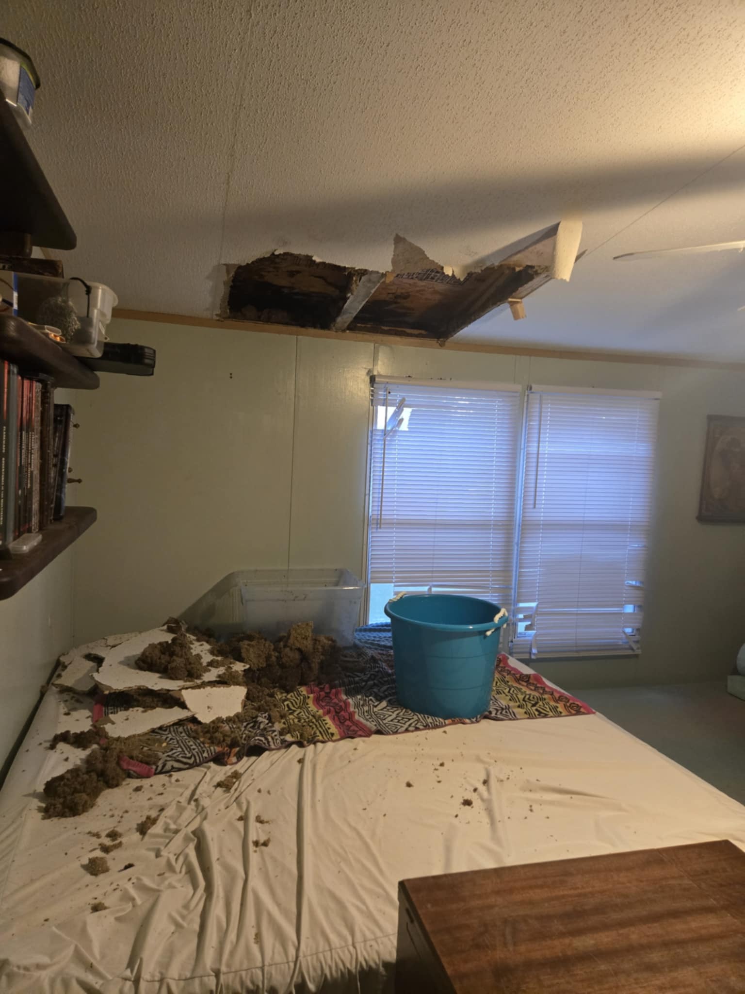 A House of Hail and Holes, a story of Skylight Removal. campaign photo, 4 of 8