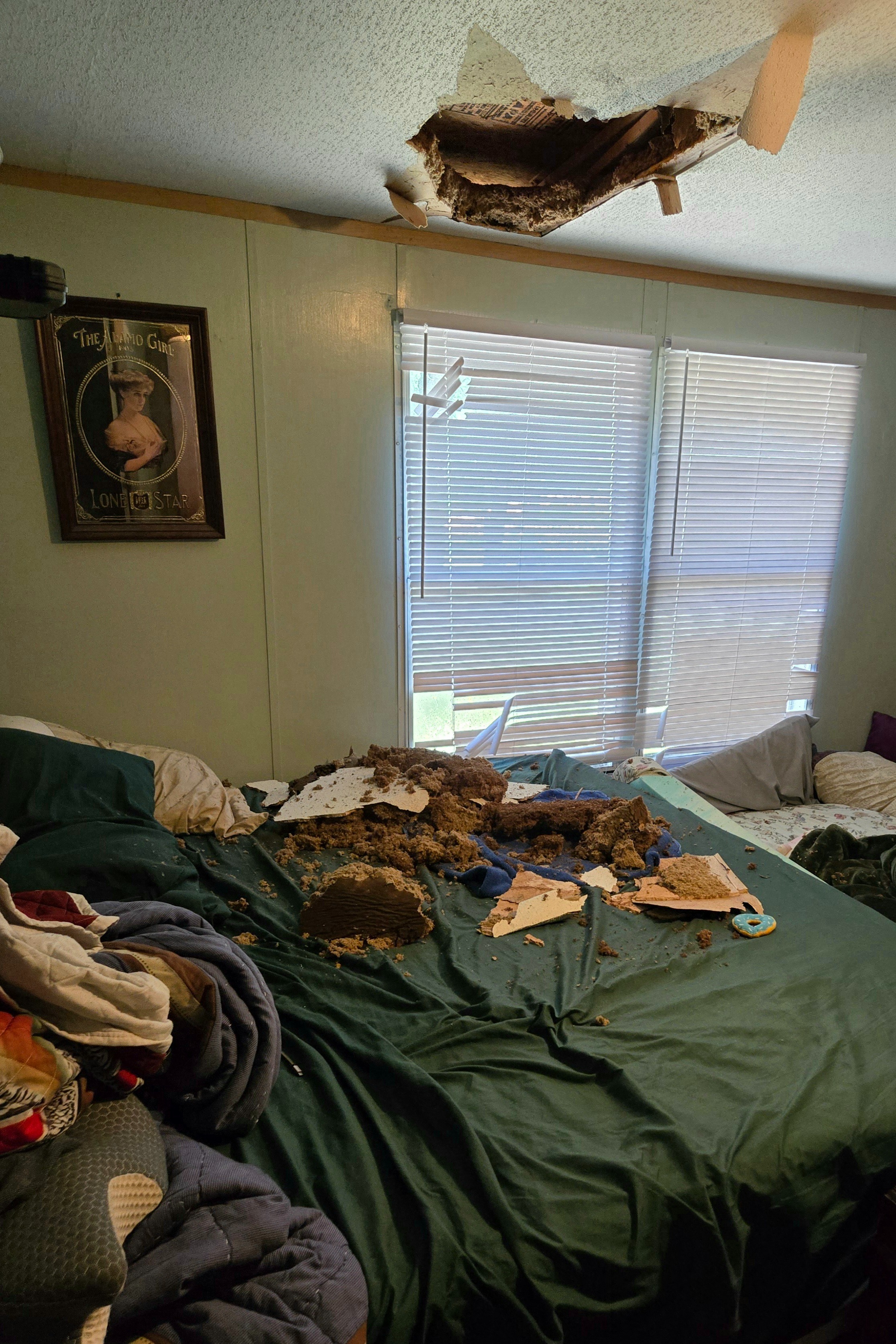 A House of Hail and Holes, a story of Skylight Removal. campaign photo, 5 of 8
