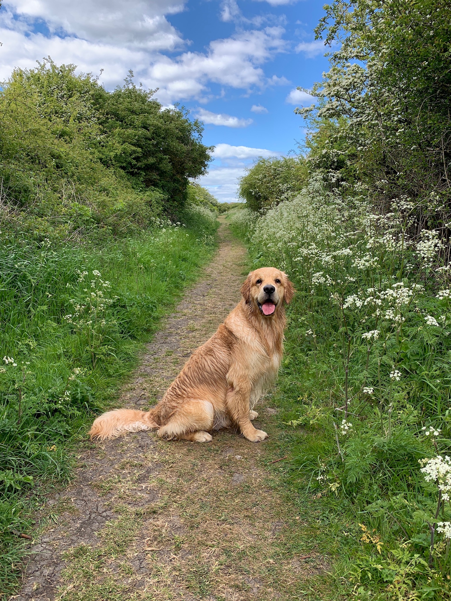 Help with Leo’s Life Saving Surgeries campaign photo, 5 of 8