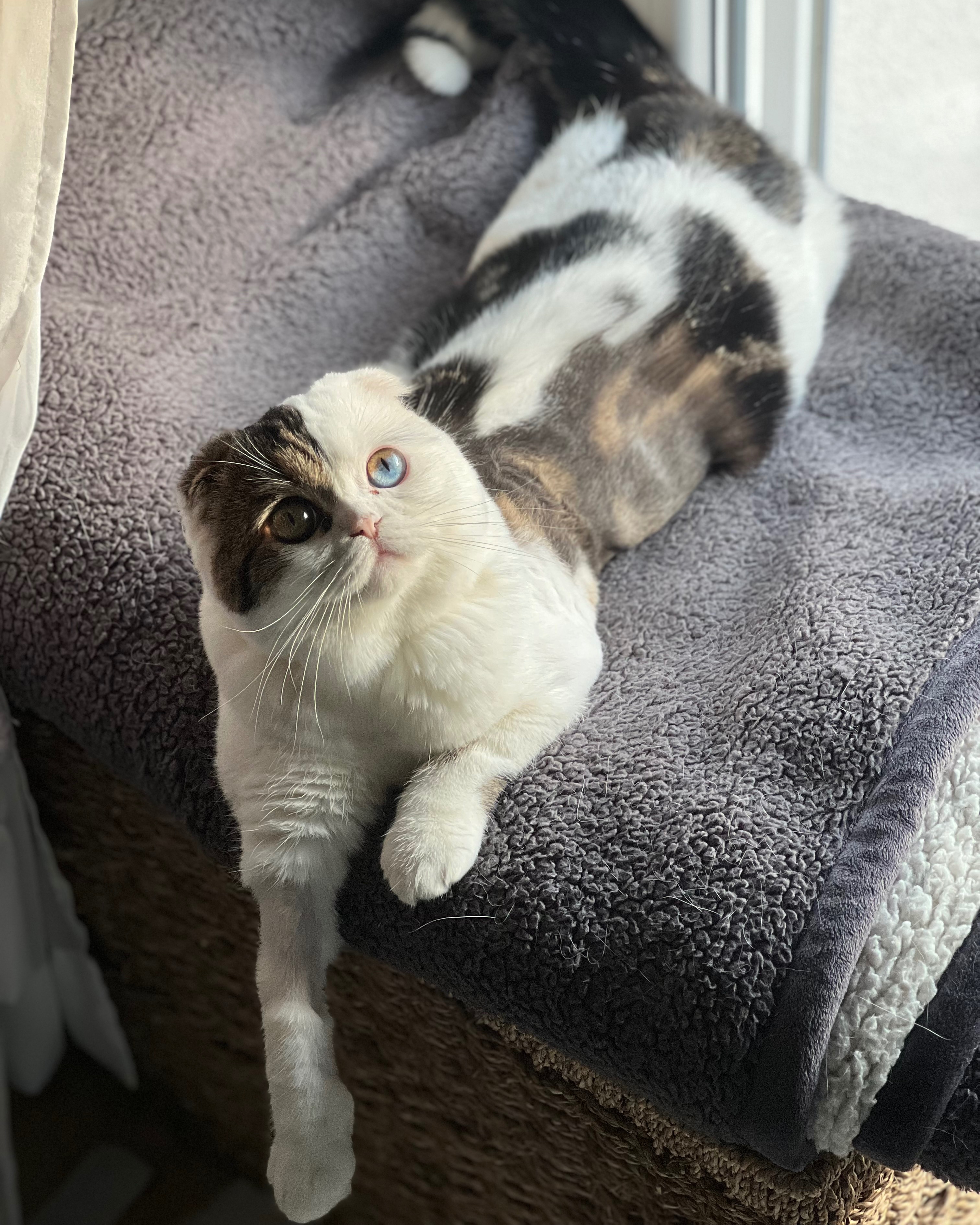 Respiration bruyante, image size:3024x3780