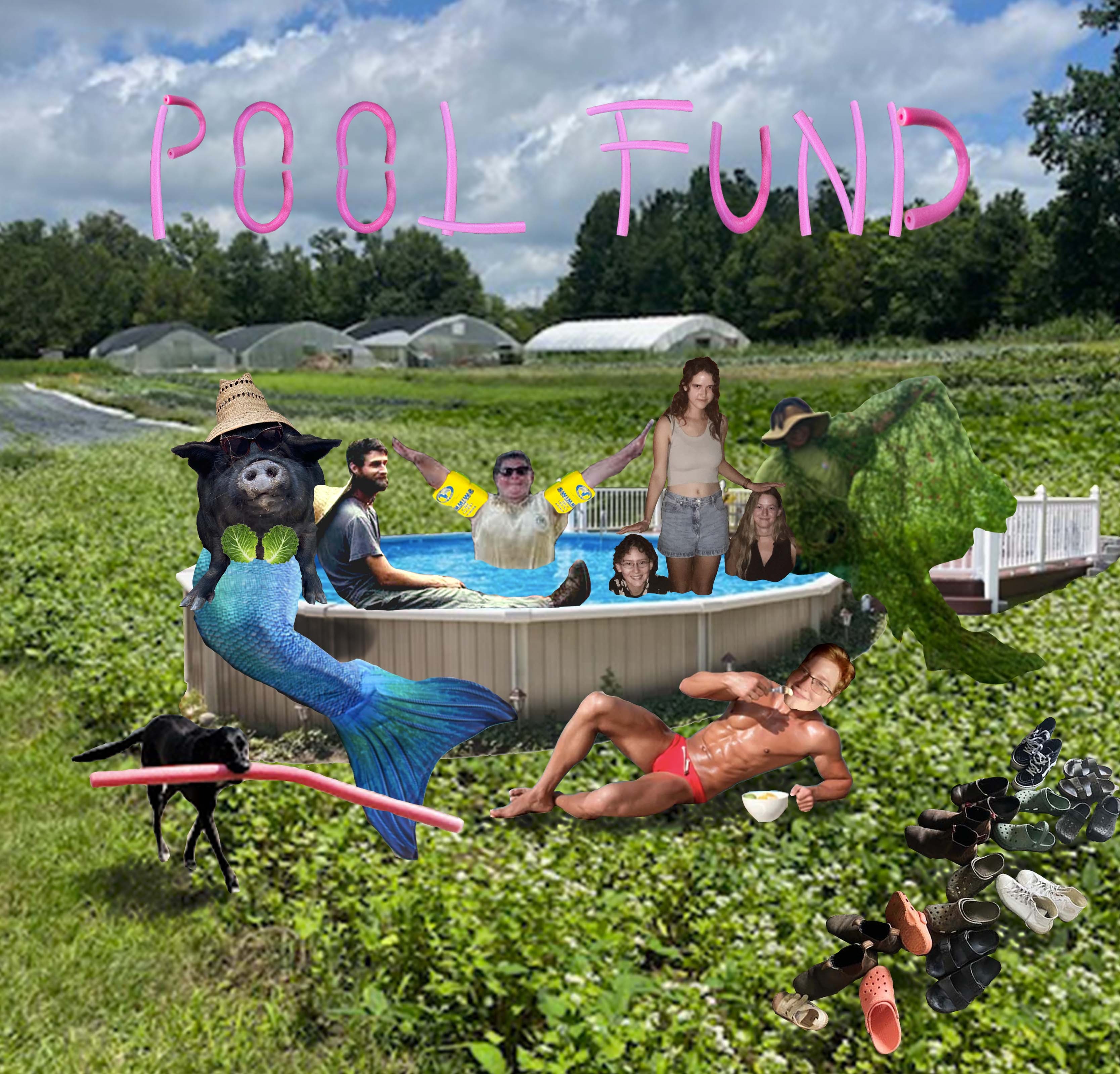 Rag & Frass Farm is building a pool! campaign photo, 6 of 8