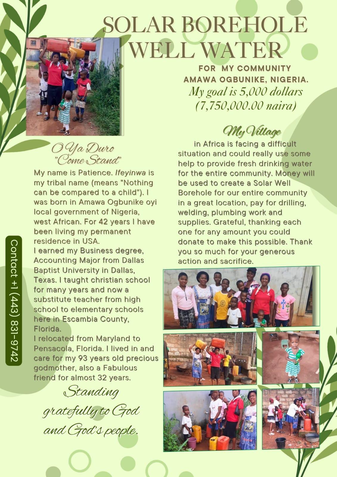 Support Patience's Water Project for Amawa Ogbunike, Nigeria campaign photo, 2 of 8