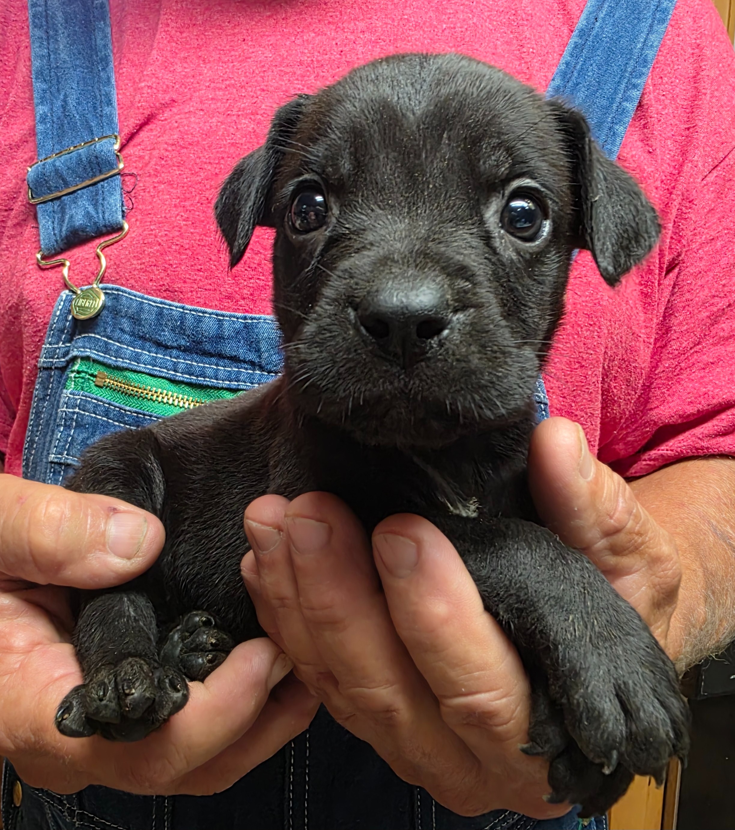 Help Hera Become a Lifeline for Healing campaign photo, 6 of 7
