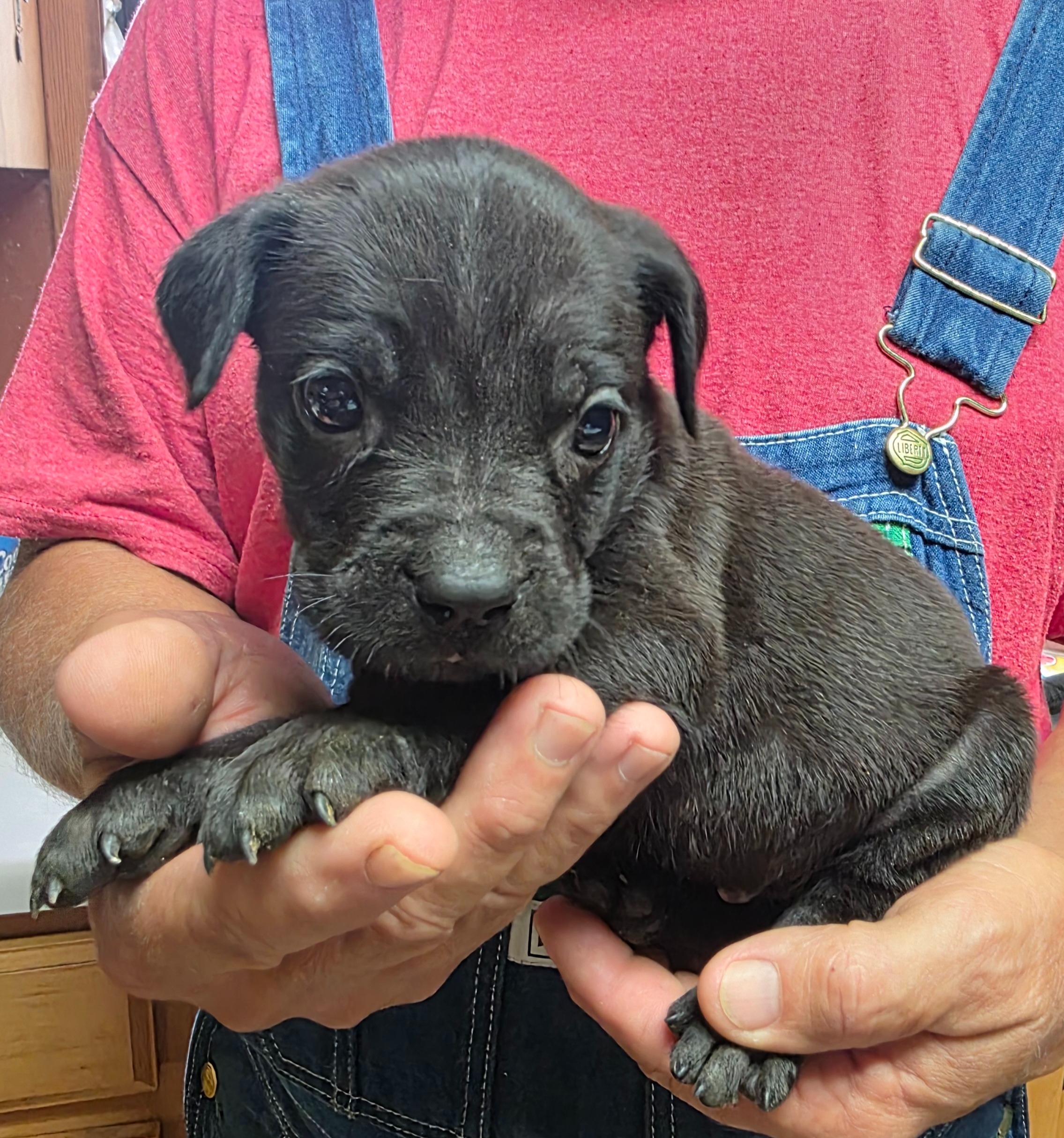 Help Hera Become a Lifeline for Healing campaign photo, 2 of 7