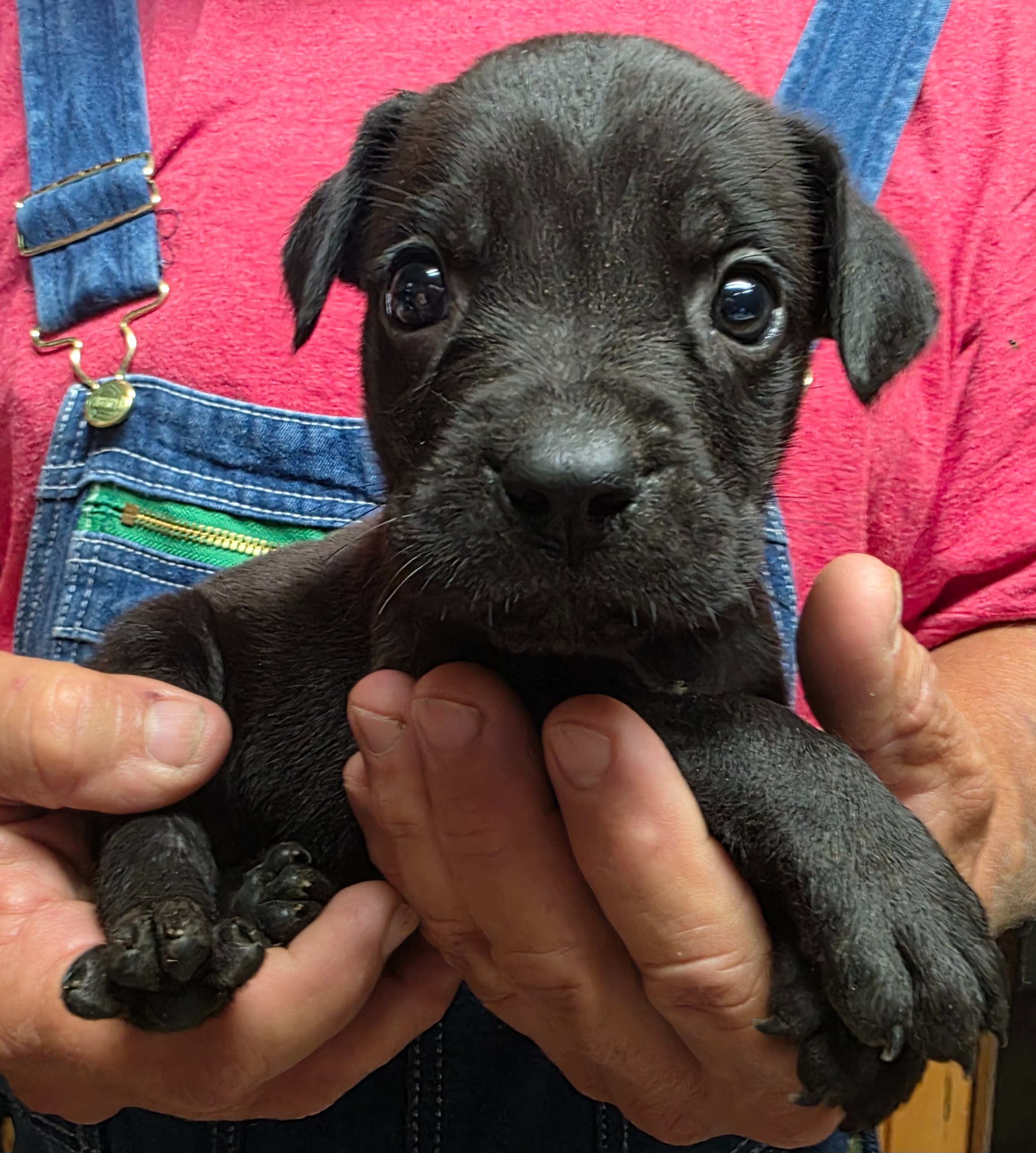Help Hera Become a Lifeline for Healing campaign photo, 4 of 7