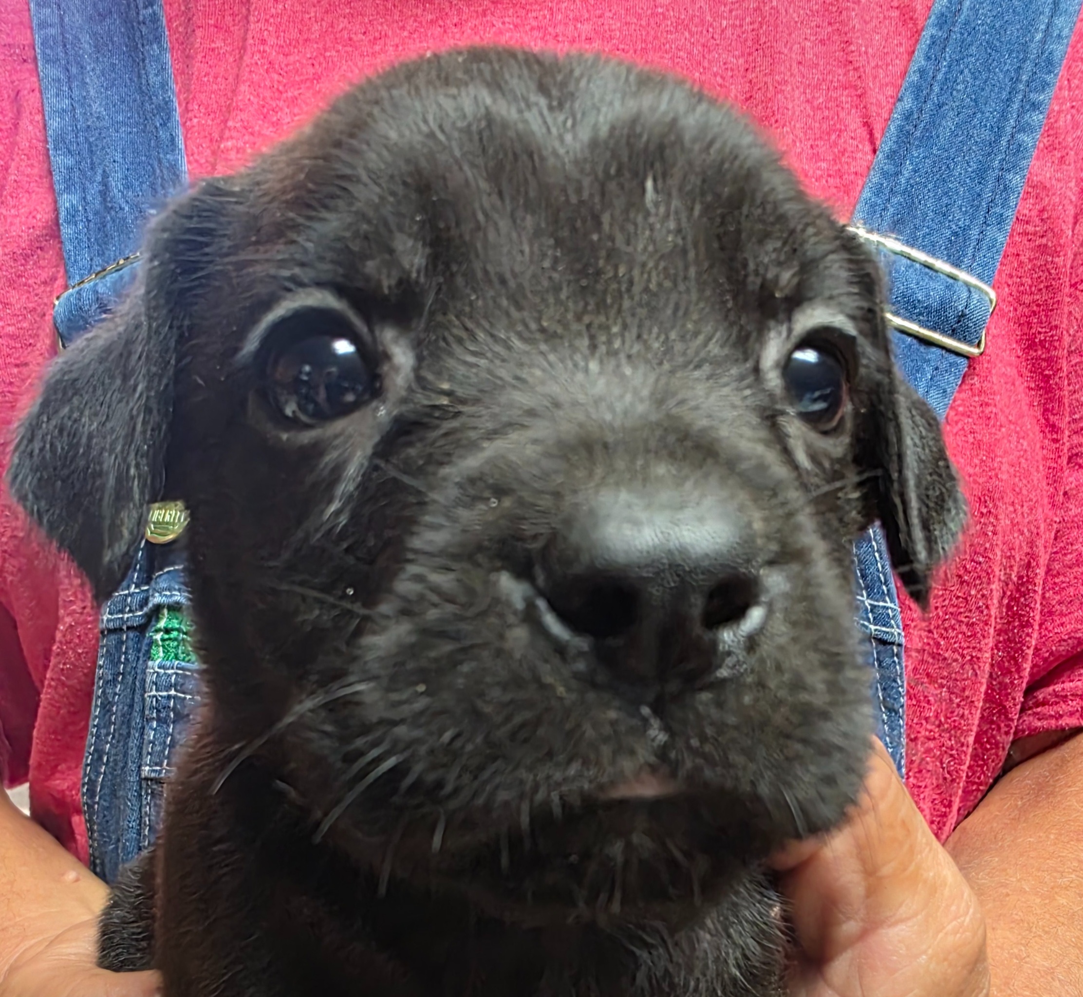 Help Hera Become a Lifeline for Healing campaign photo, 5 of 7