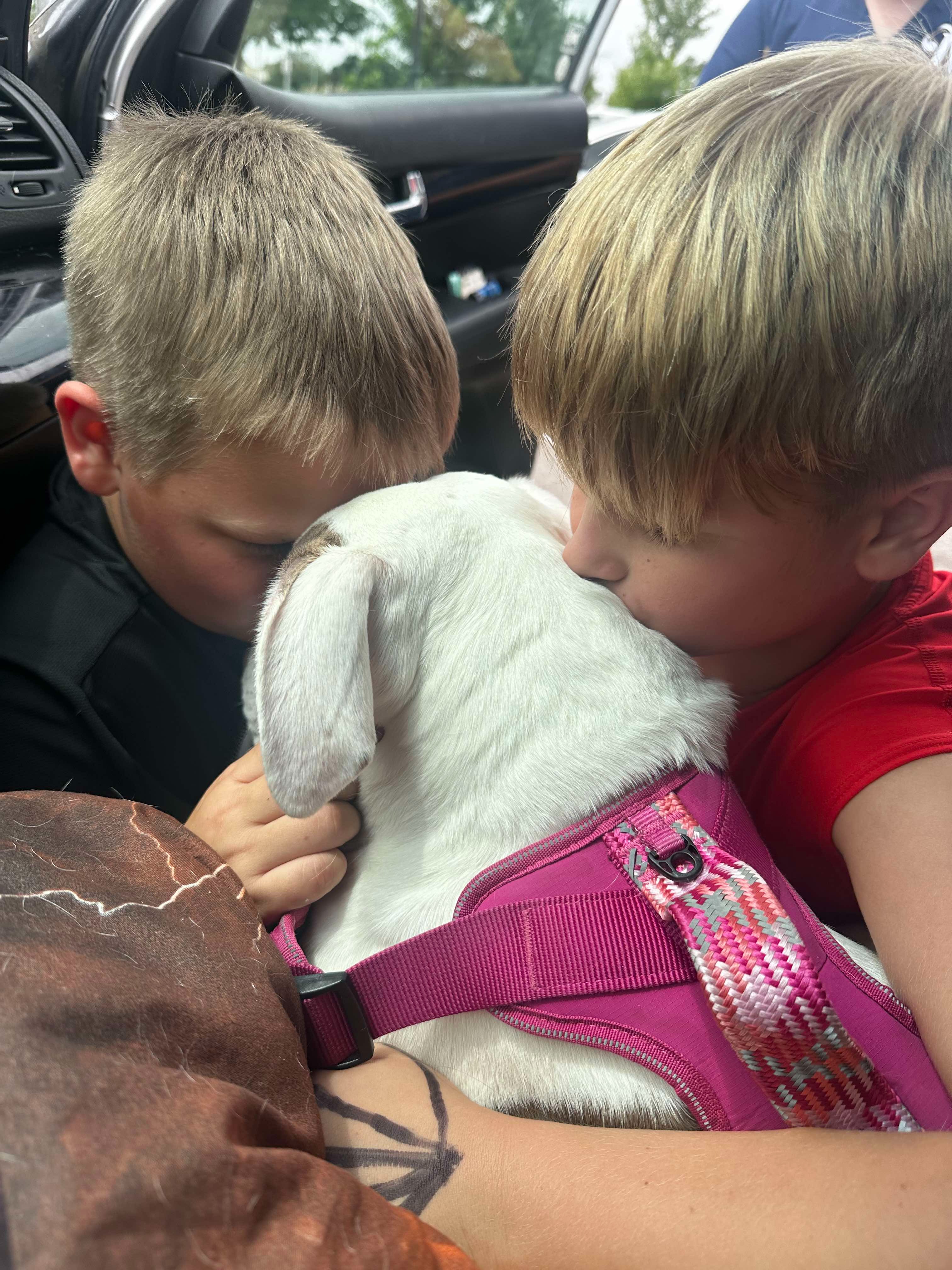 Help Reyna, Our Puppy, Get Lifesaving Care campaign photo, 2 of 4