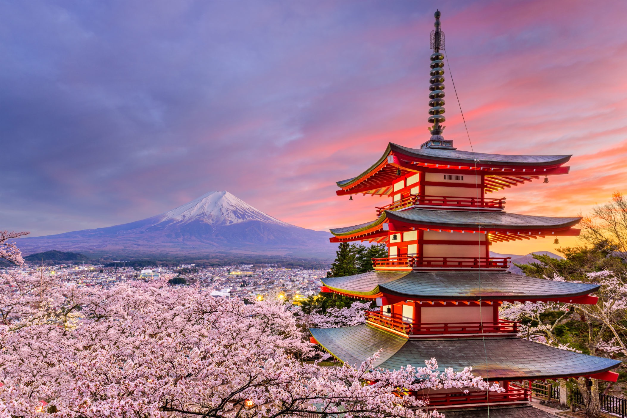 Support Isabella's Dream to Study in Japan campaign photo, 4 of 5