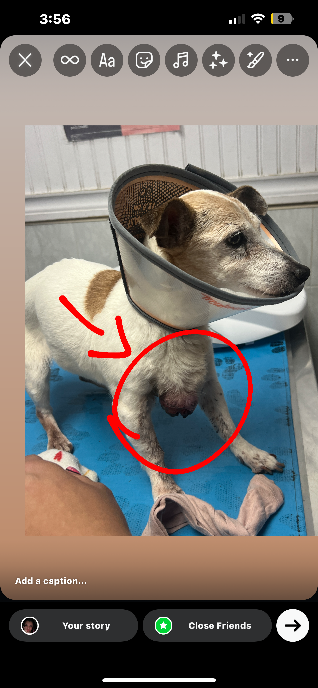 Help Princess Get Life-Saving Surgery campaign photo, 2 of 5