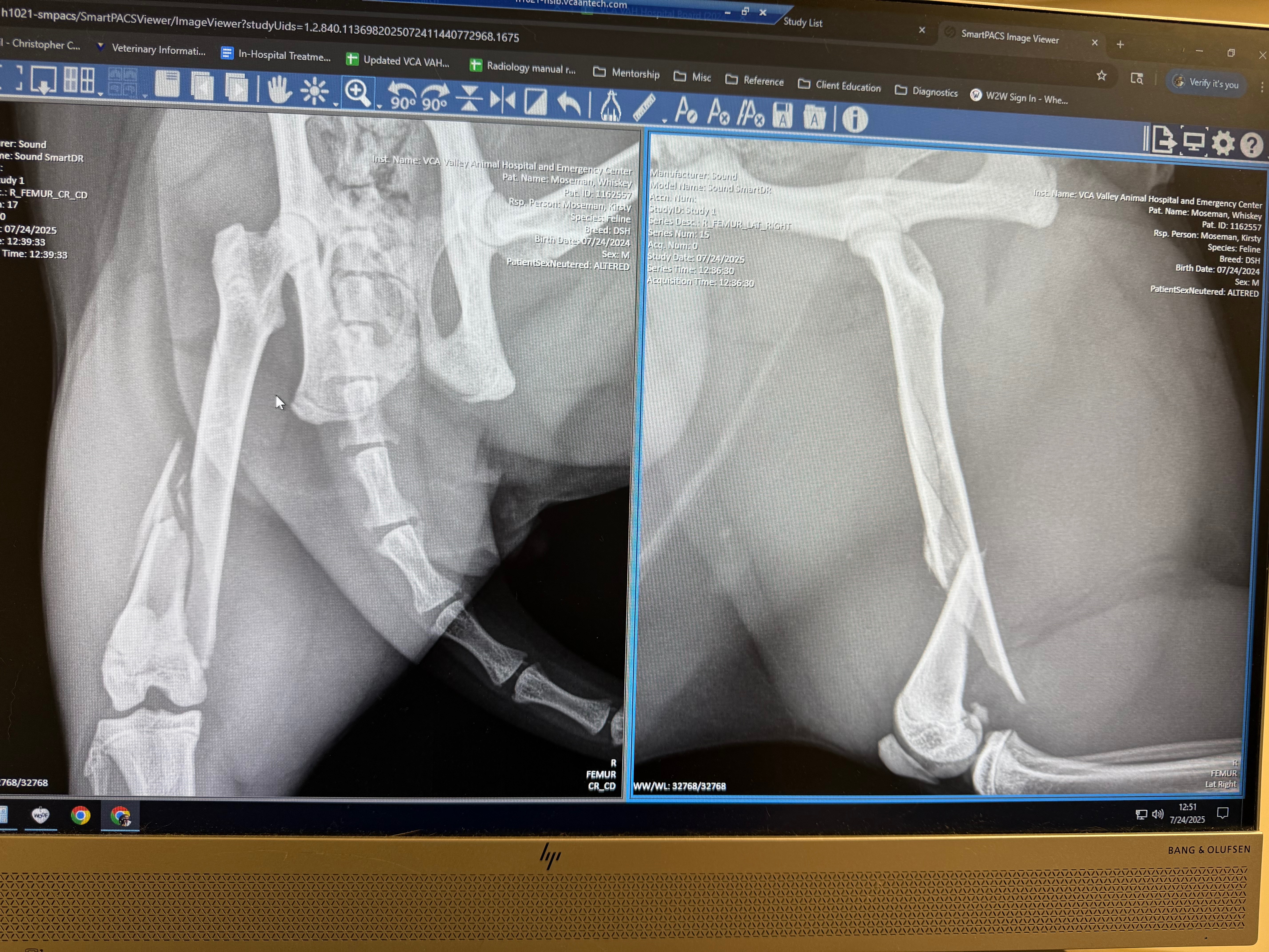 Donate to Save Whiskey's Leg and Joy campaign photo, 6 of 8