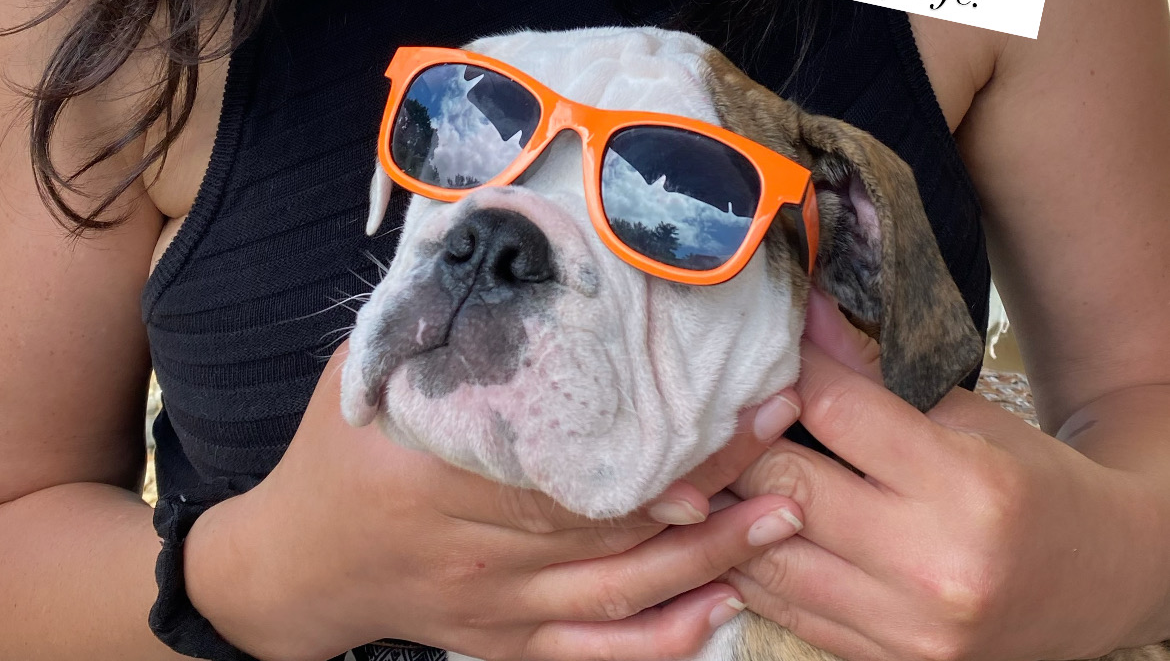 Support Bonner's Journey: Keep This Angel Alive