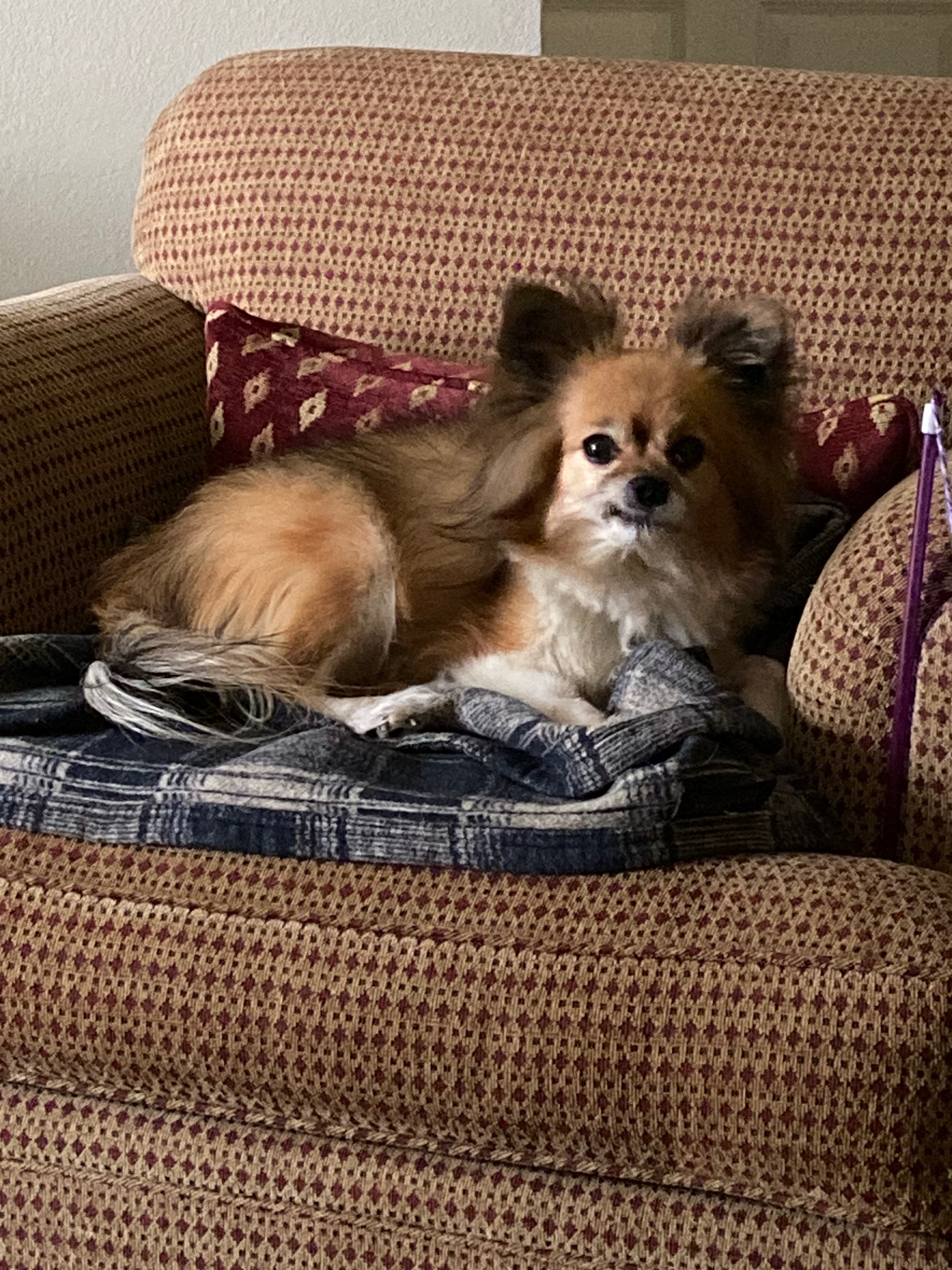 Bella's Surgery: Extend Her Precious Years campaign photo, 4 of 6