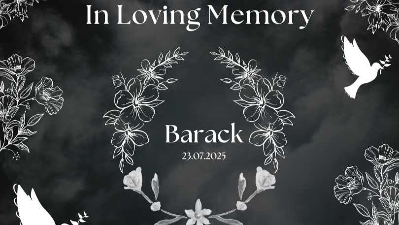 <h1>In Loving Memory of 9 Year Old Barack<span class="hidden-full-title" style="display:none;"> ❤️ by Max Shapiro</span></h1>