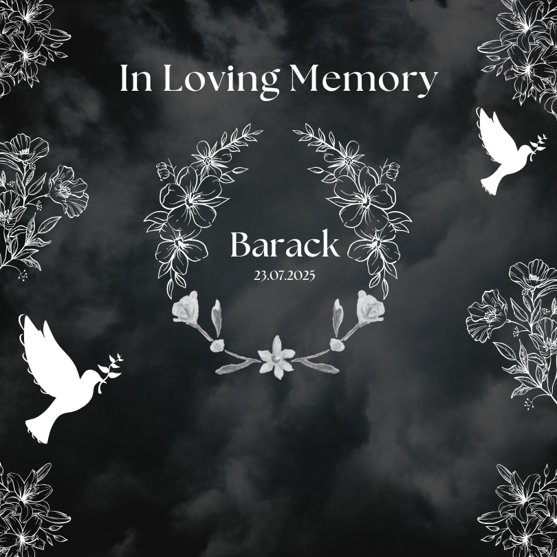 In Loving Memory of 9 Year Old Barack by Max Shapiro  gofundme donation