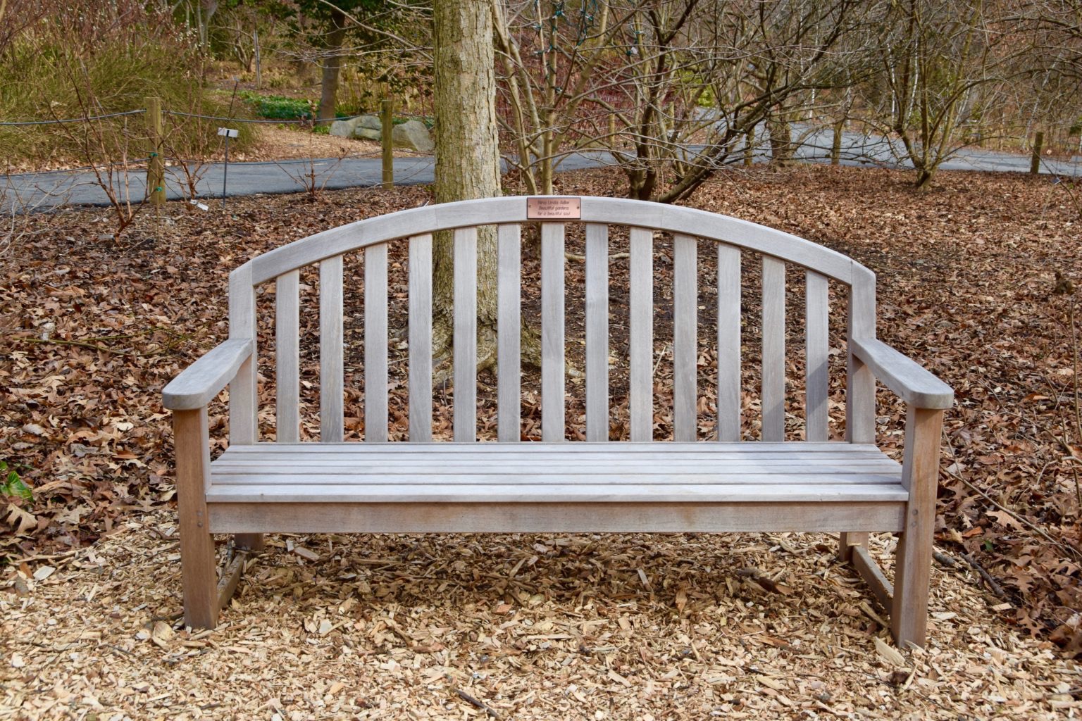 Memorial Bench for Oscar Espinosa campaign photo, 7 of 8