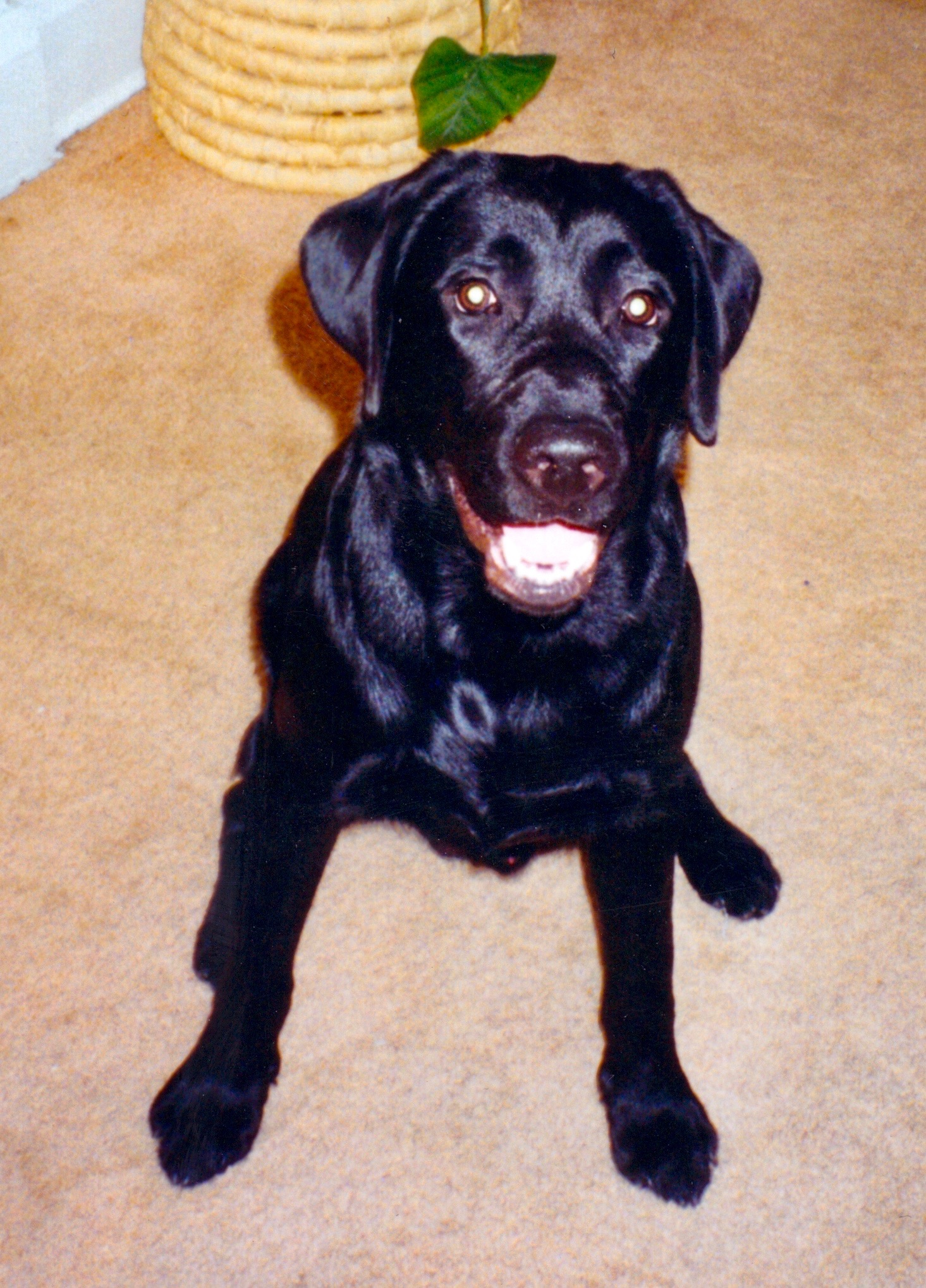 Help Jake Overcome Lung Cancer campaign photo, 5 of 7