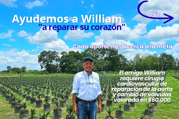 Ayudemos a "reparar el corazón de William" campaign photo, 7 of 8