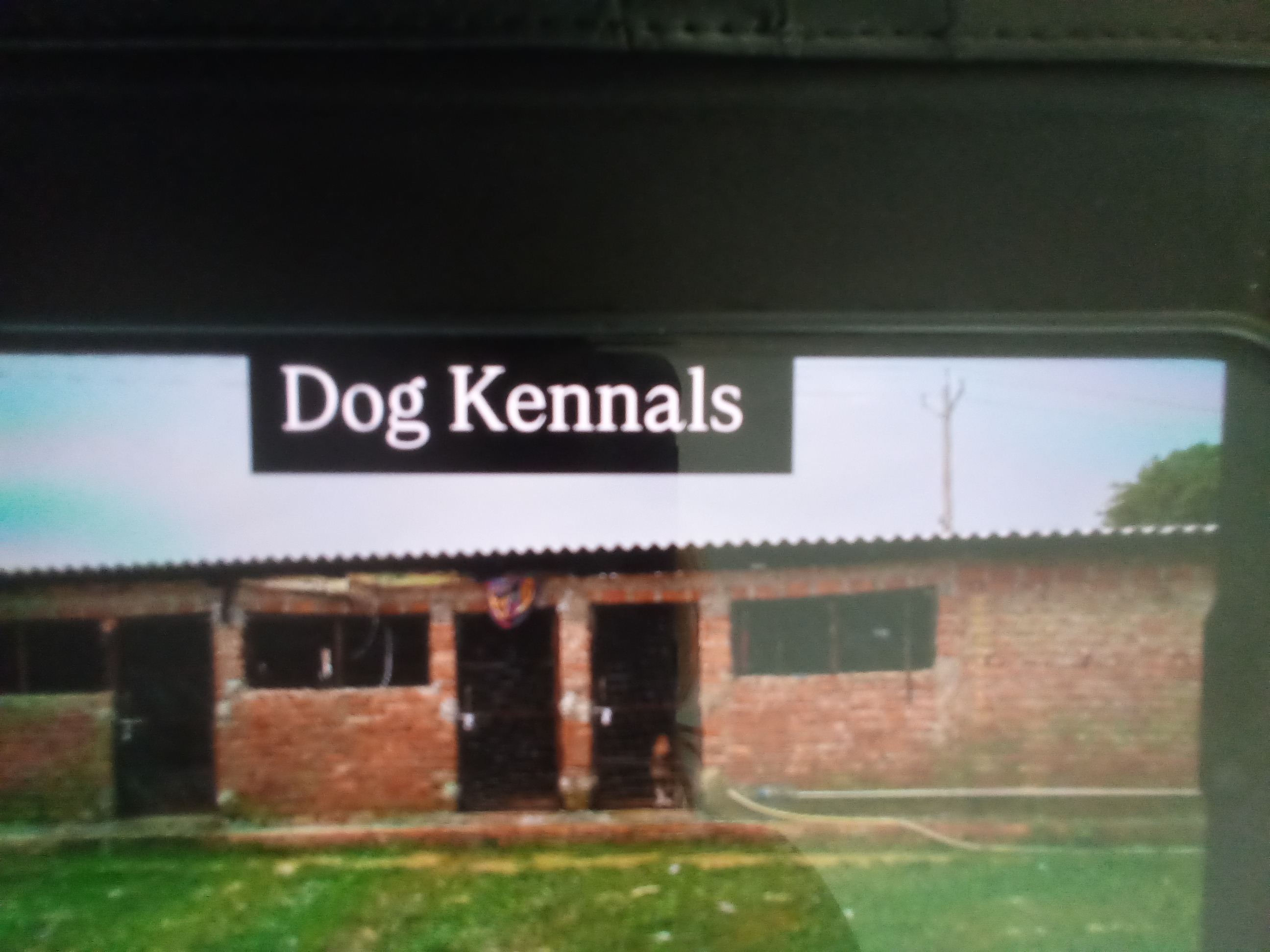 Animals Shelter by Animal Feeders; Phase Two Begins!! campaign photo, 7 of 8