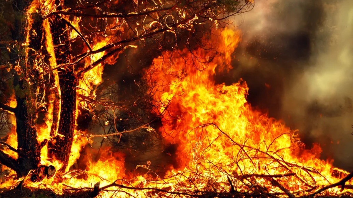 AIUTI PER TERESA E FAMIGLIA COLPITA DALL'INCENDIO A CIPRO campaign photo, 2 of 4