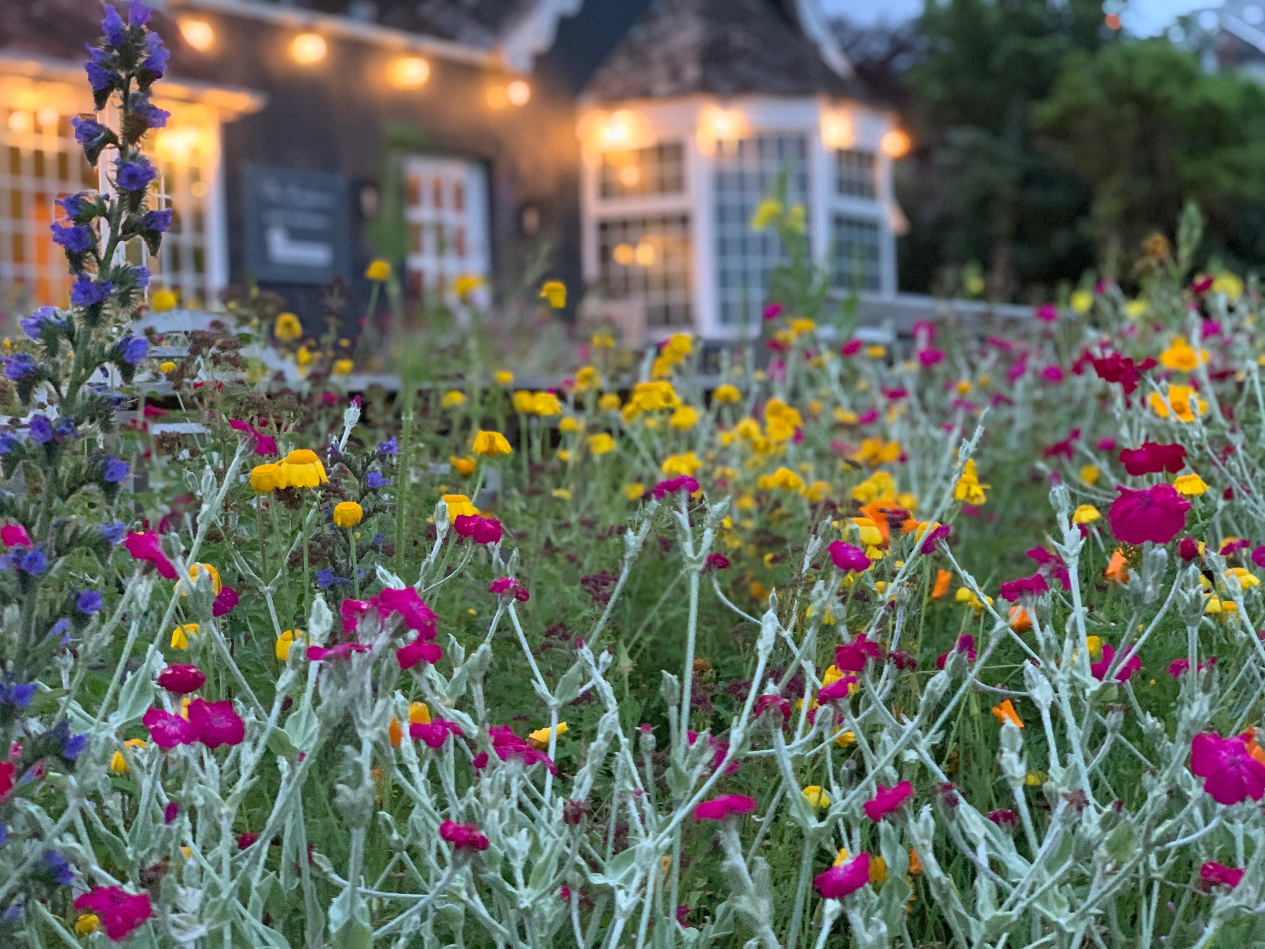 User-uploaded image 5