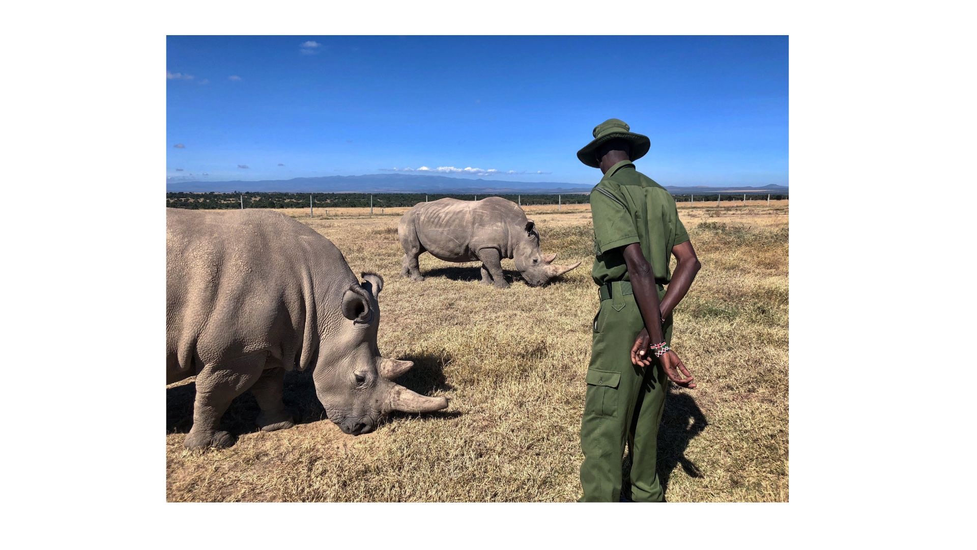 The Ethical Explorer Project: Redefining Wildlife Tourism campaign photo, 2 of 7