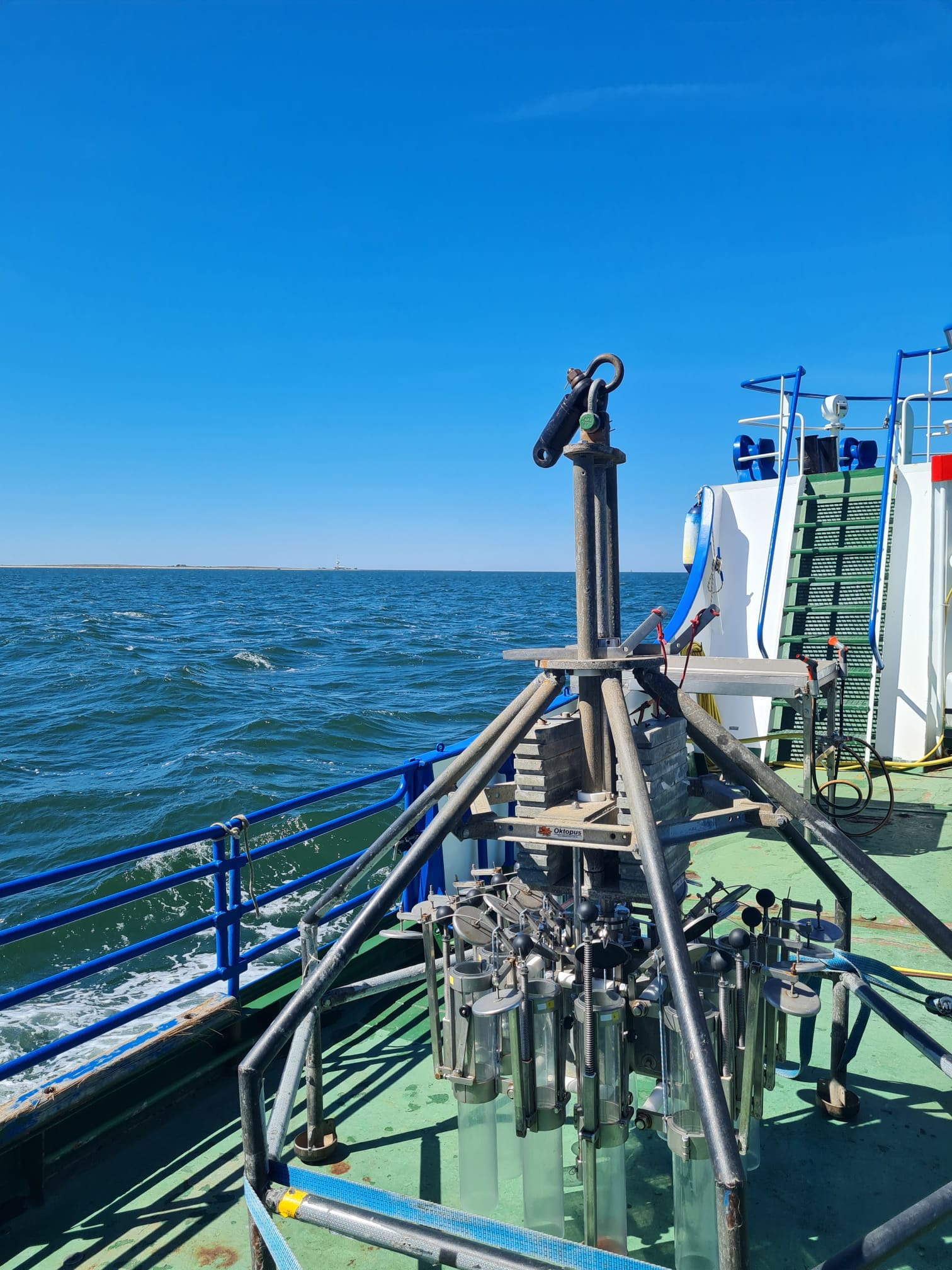 Artenvielfalt Wattenmeer: Nachhaltig Erfassen mit Umwelt-DNA campaign photo, 4 of 7