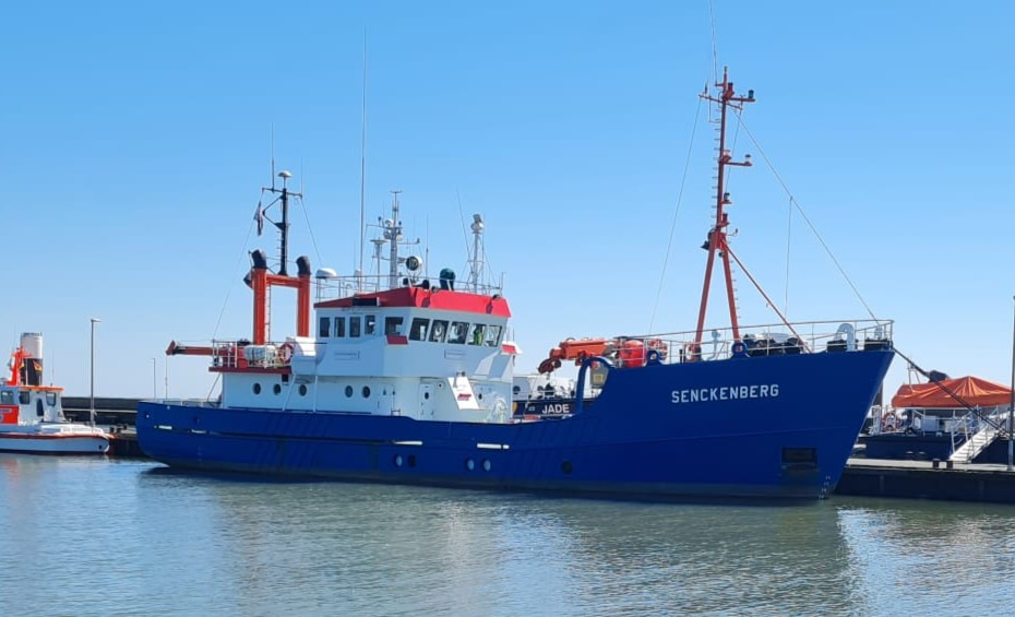 Artenvielfalt Wattenmeer: Nachhaltig Erfassen mit Umwelt-DNA campaign photo, 5 of 7