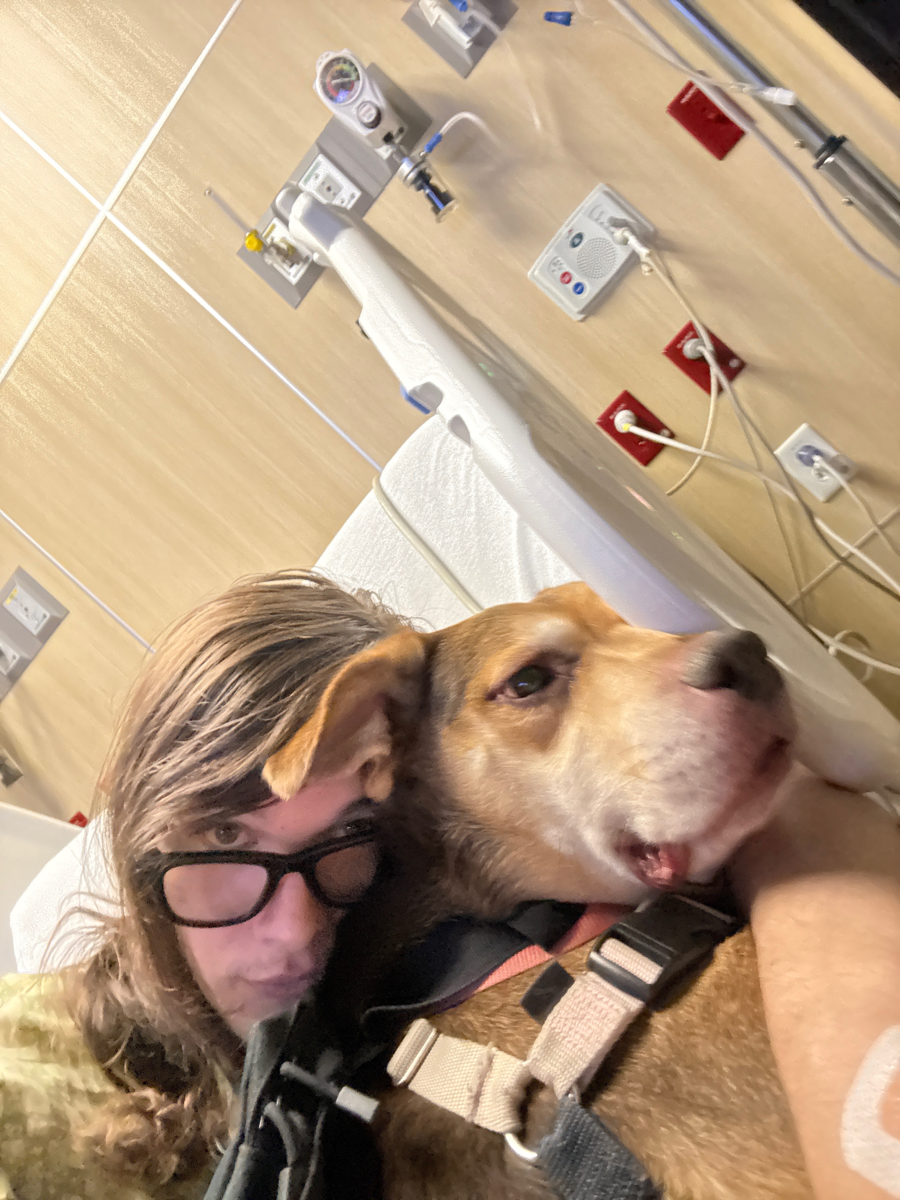 User-uploaded image 1