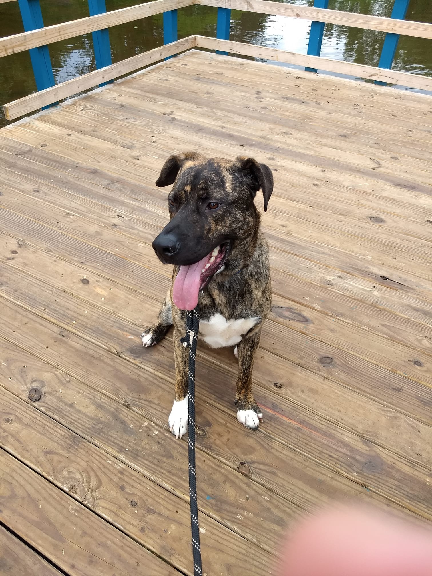 Support Arrow's Crucial ACL Surgery campaign photo, 4 of 8