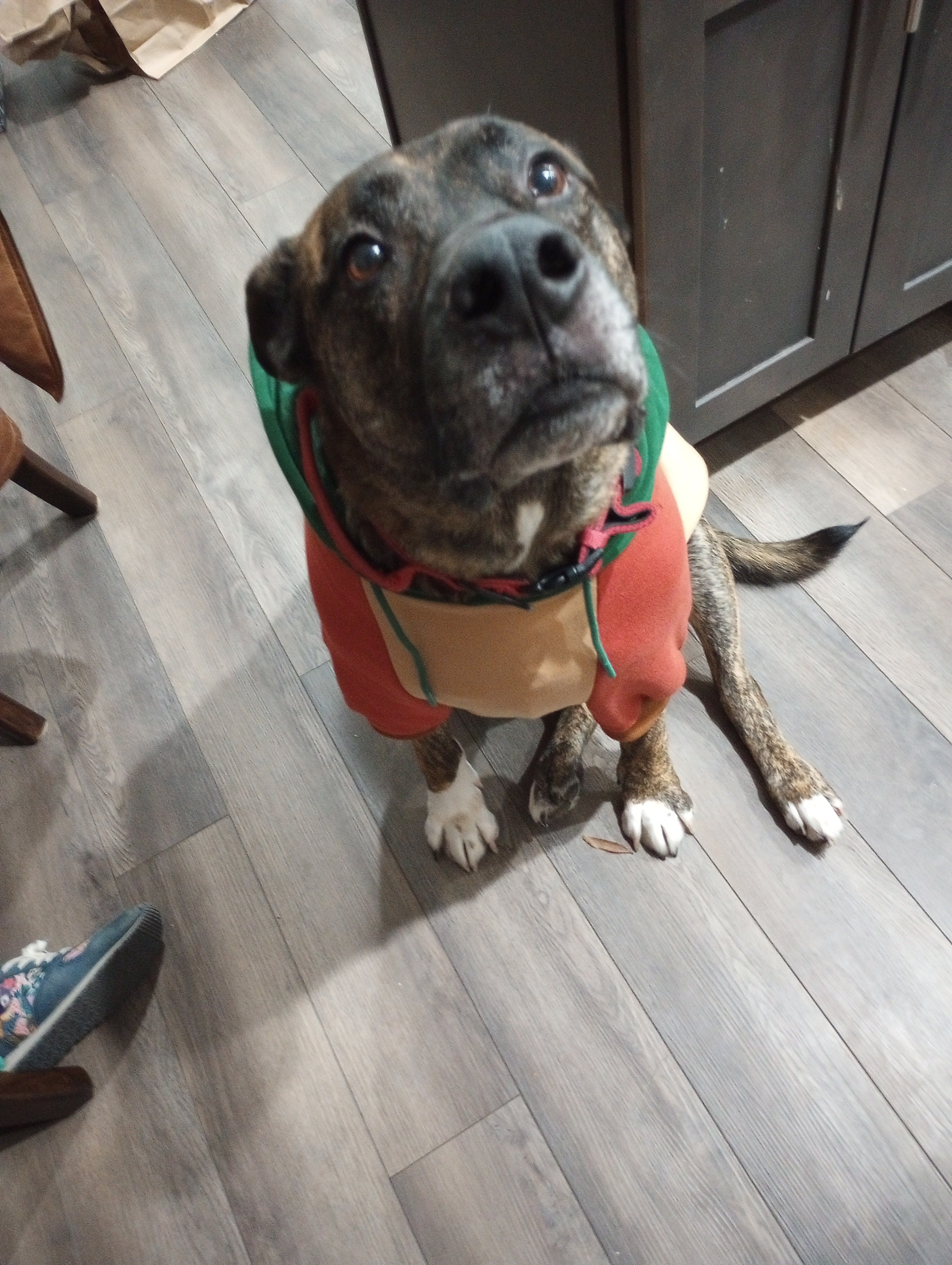 Support Arrow's Crucial ACL Surgery campaign photo, 6 of 8